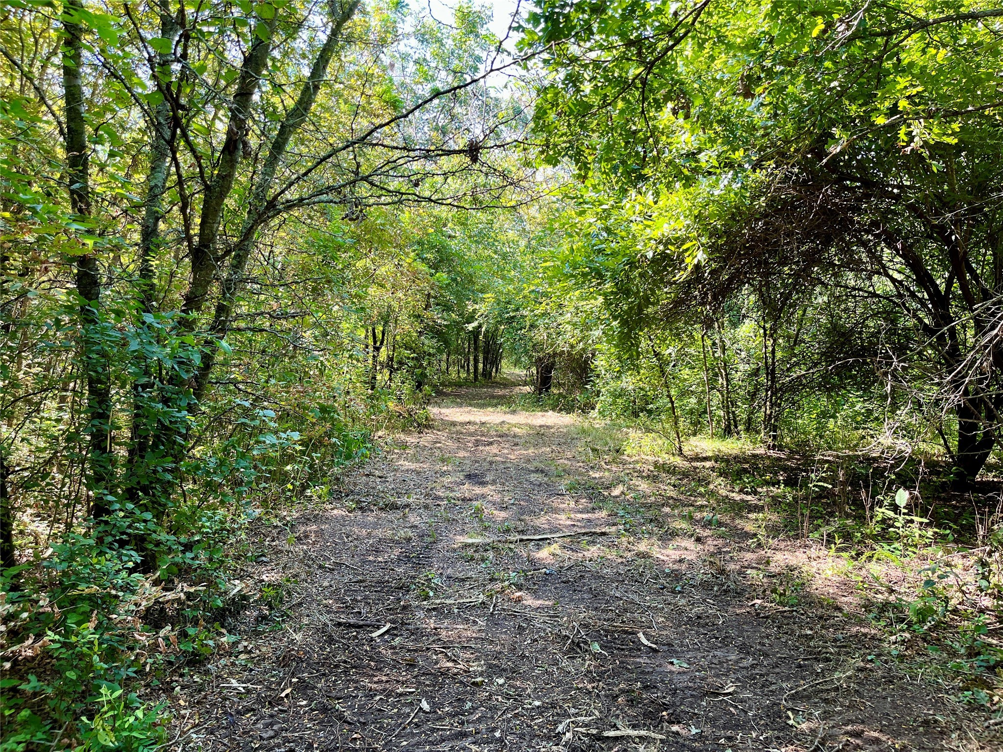 TBD Bethel Cannon Road