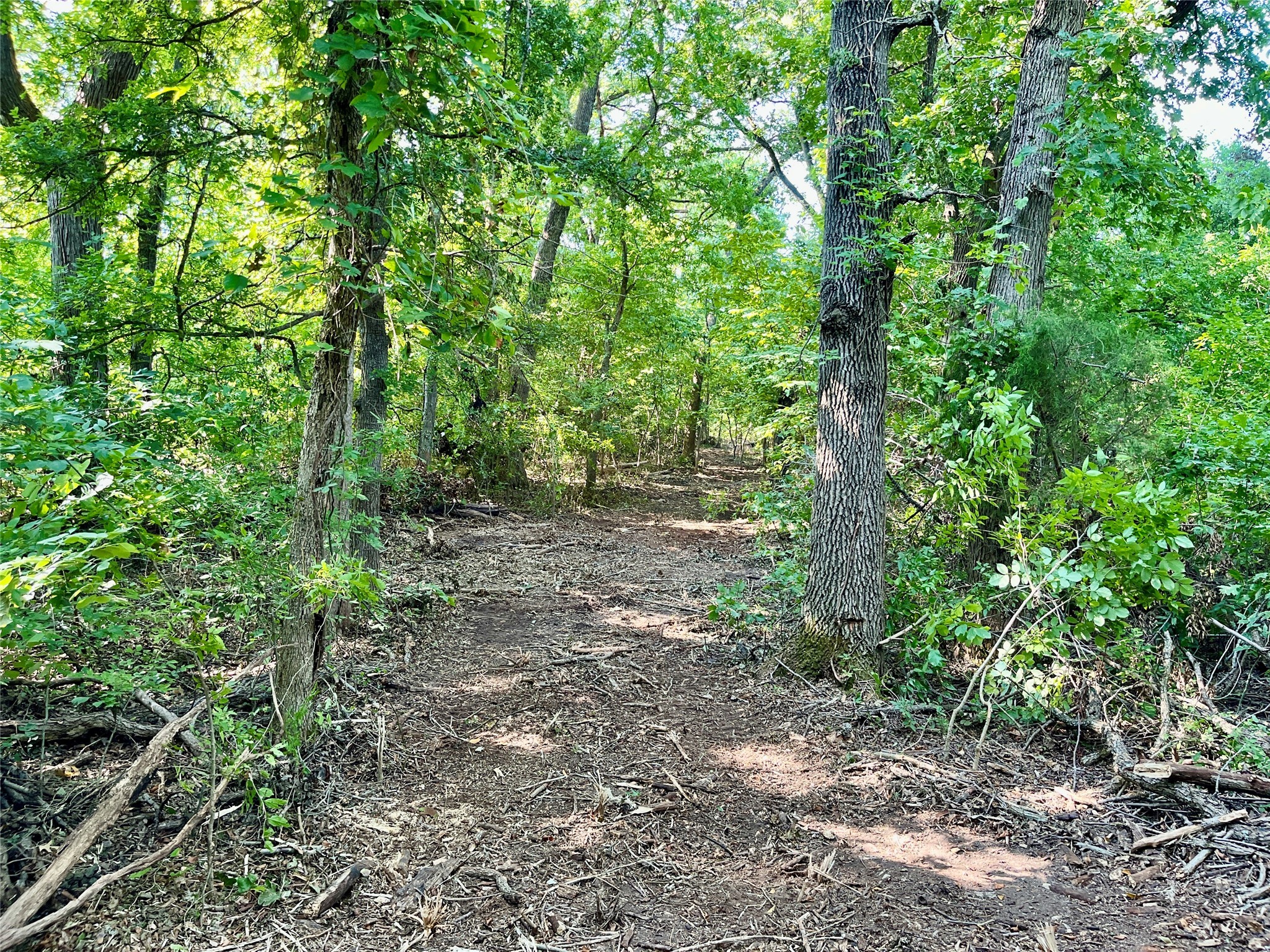 TBD Bethel Cannon Road