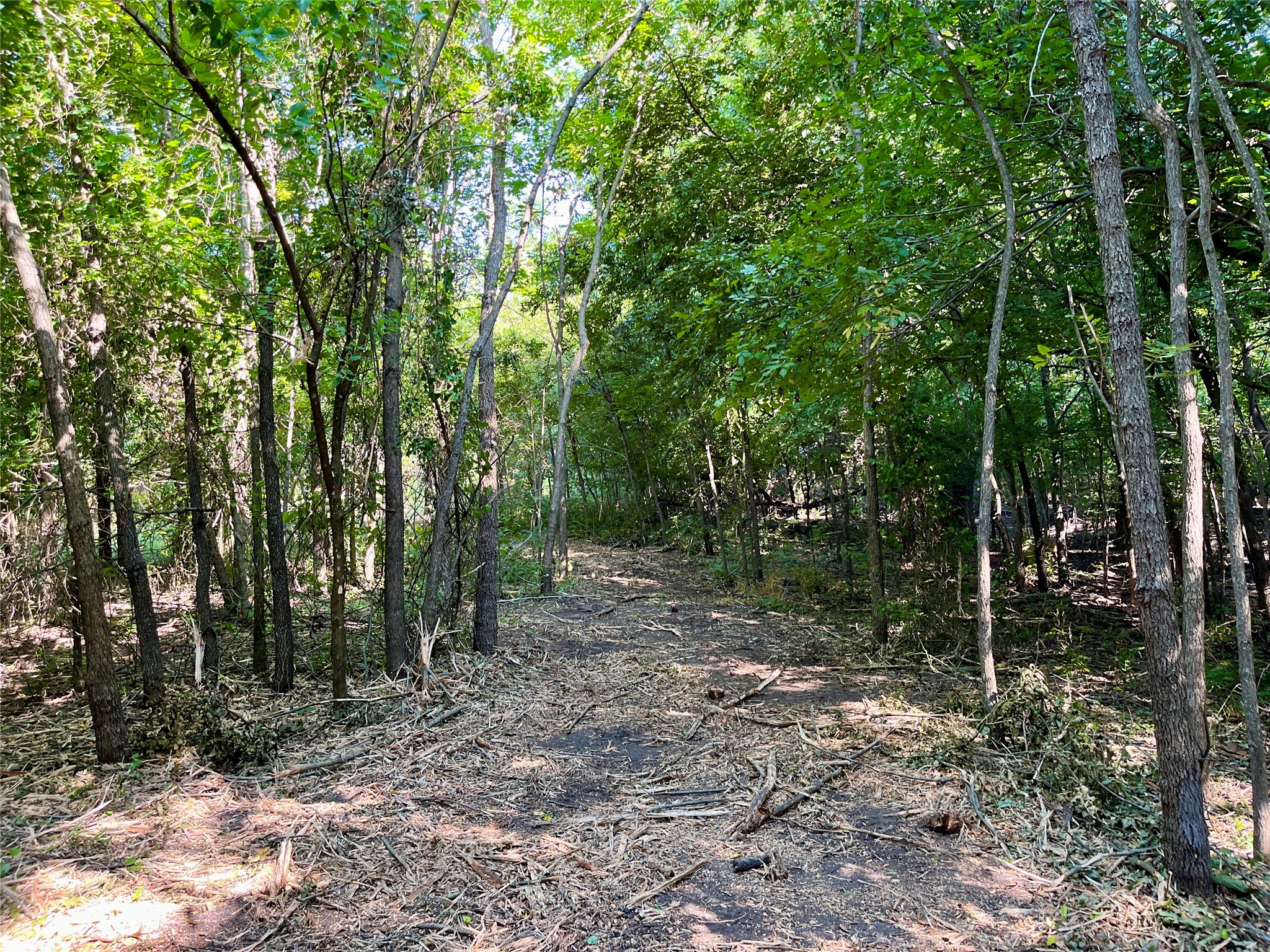 TBD Bethel Cannon Road