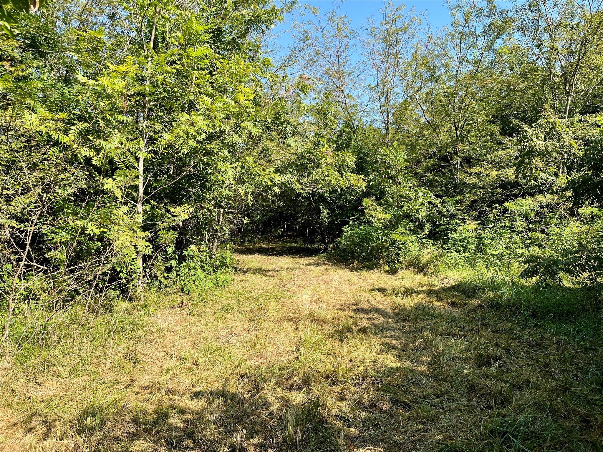 TBD Bethel Cannon Road
