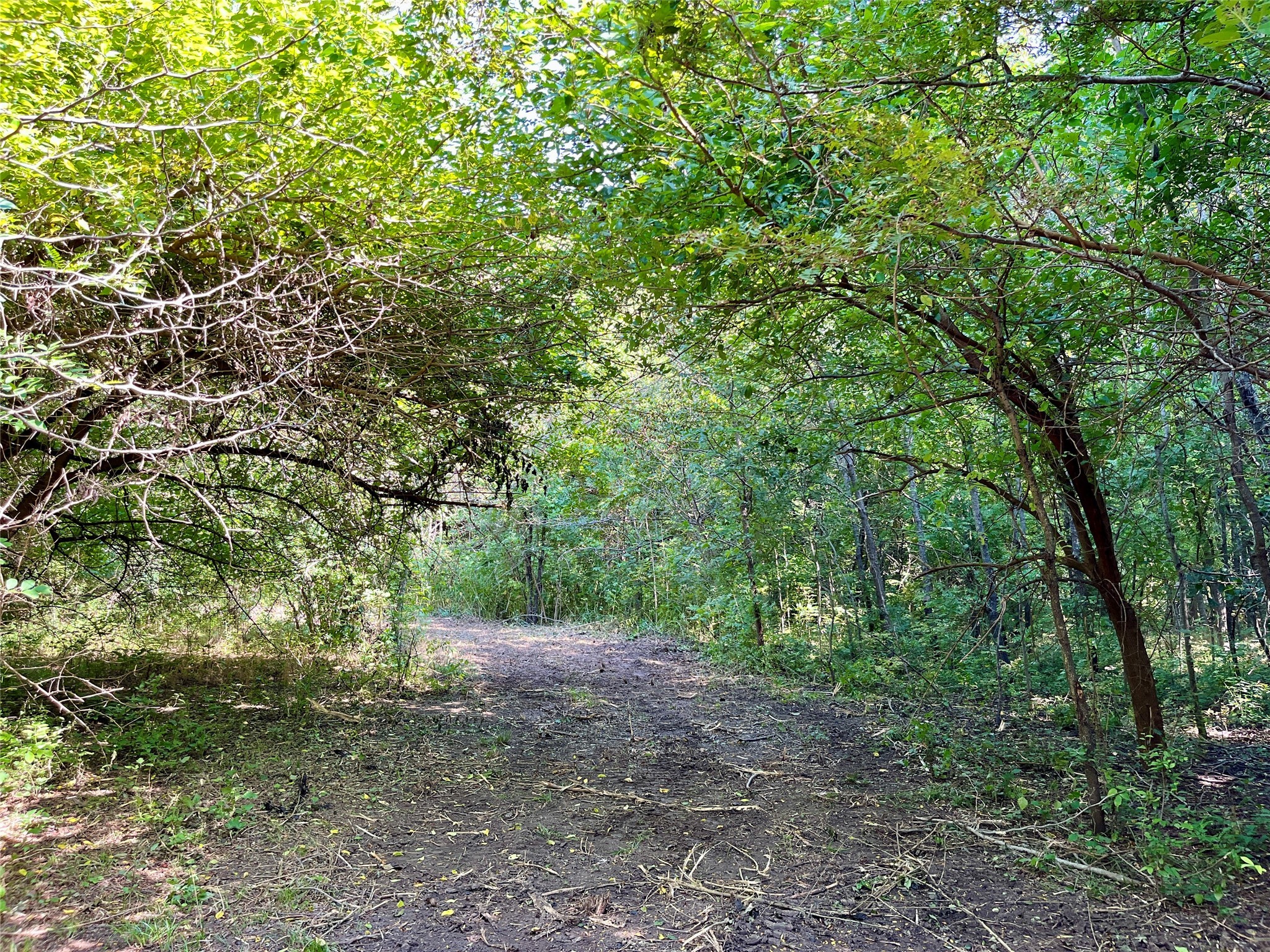 TBD Bethel Cannon Road