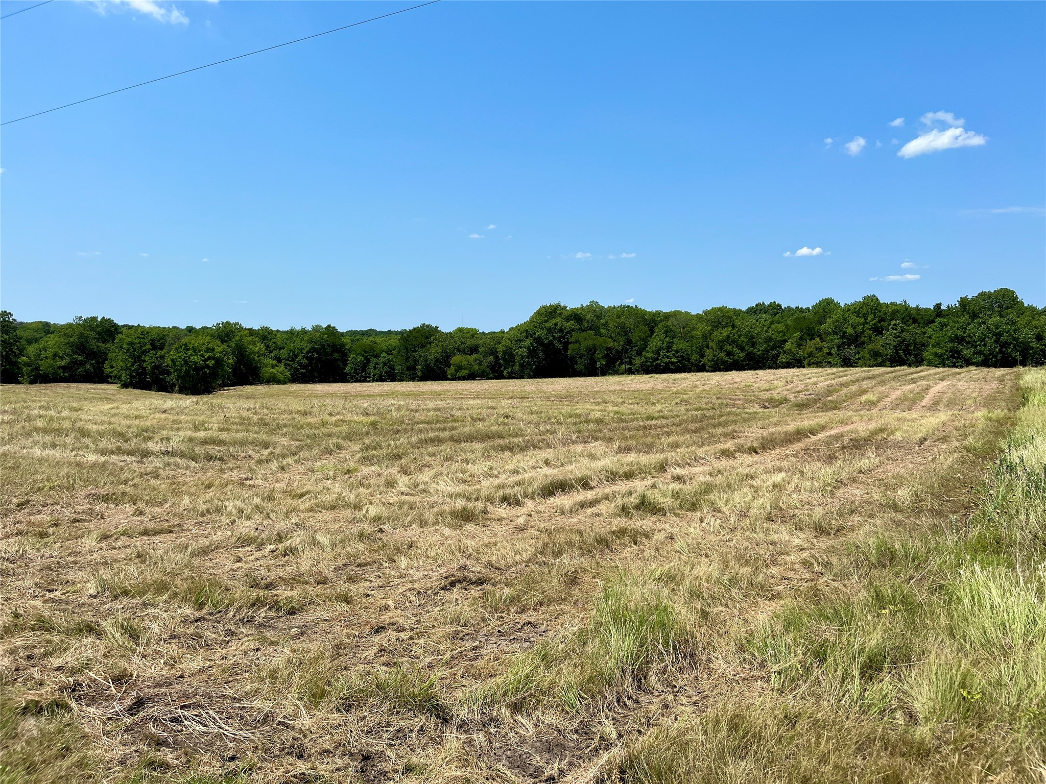 TBD Tx-160 OF