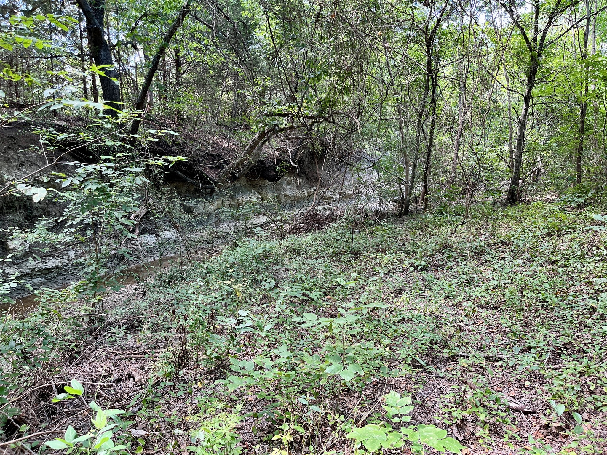 TBD Tx-160 OF