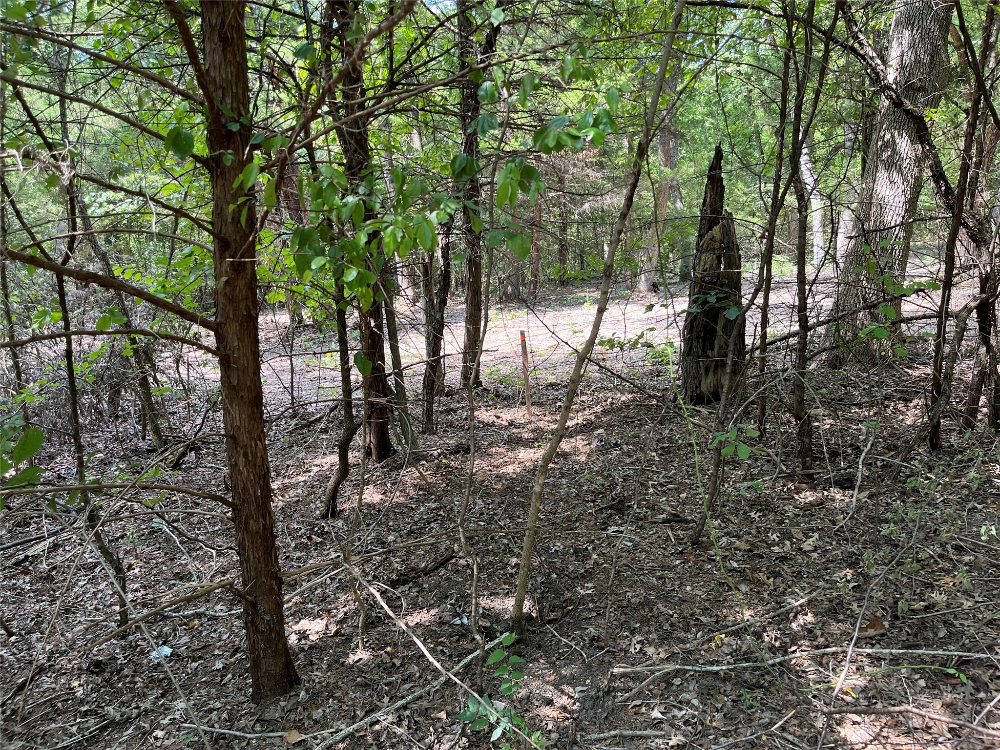 TBD Tx-160 OF