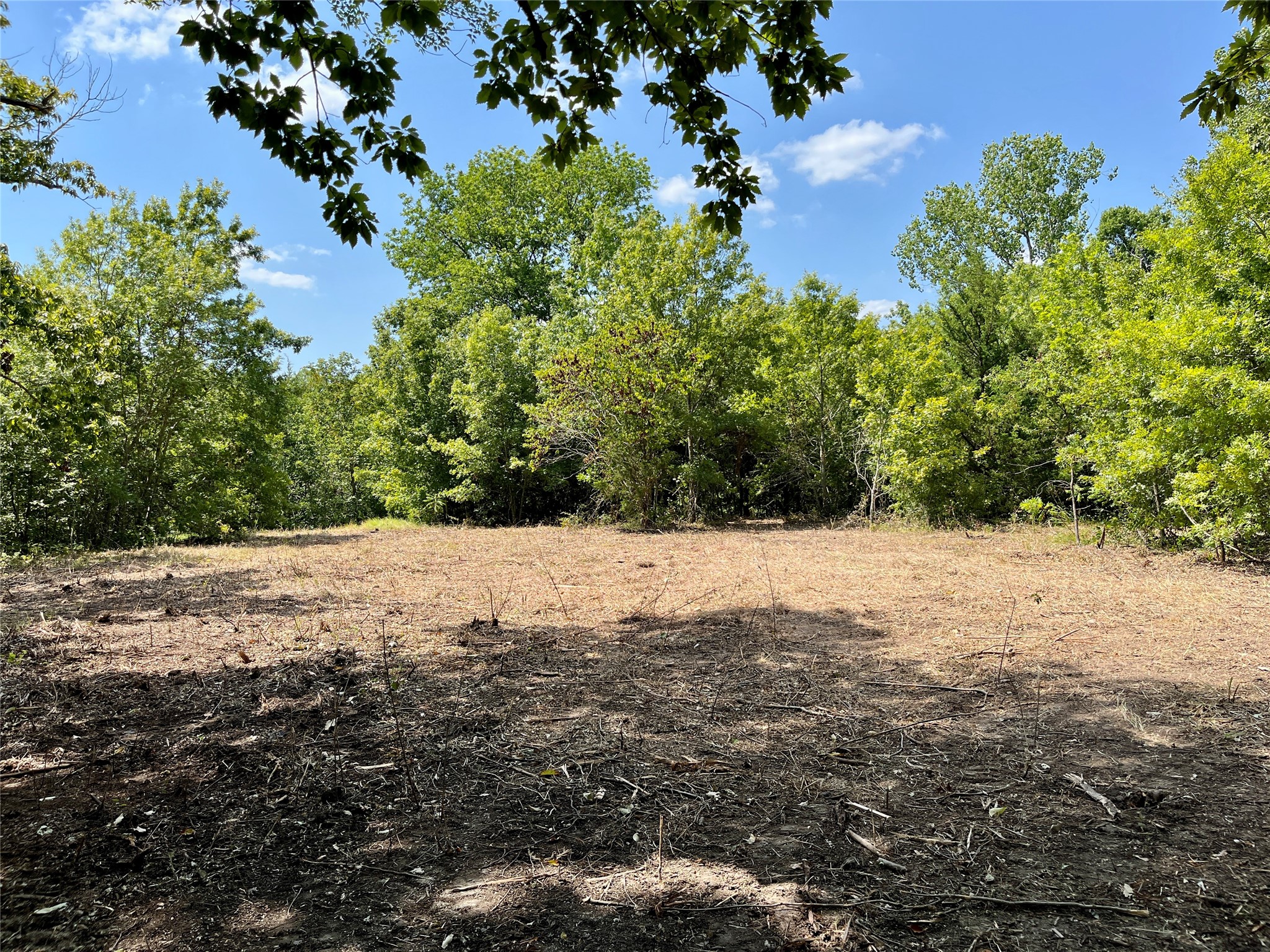 TBD Tx-160 OF