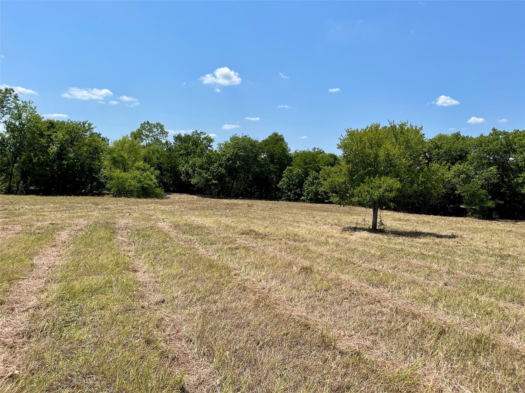 TBD Tx-160 OF