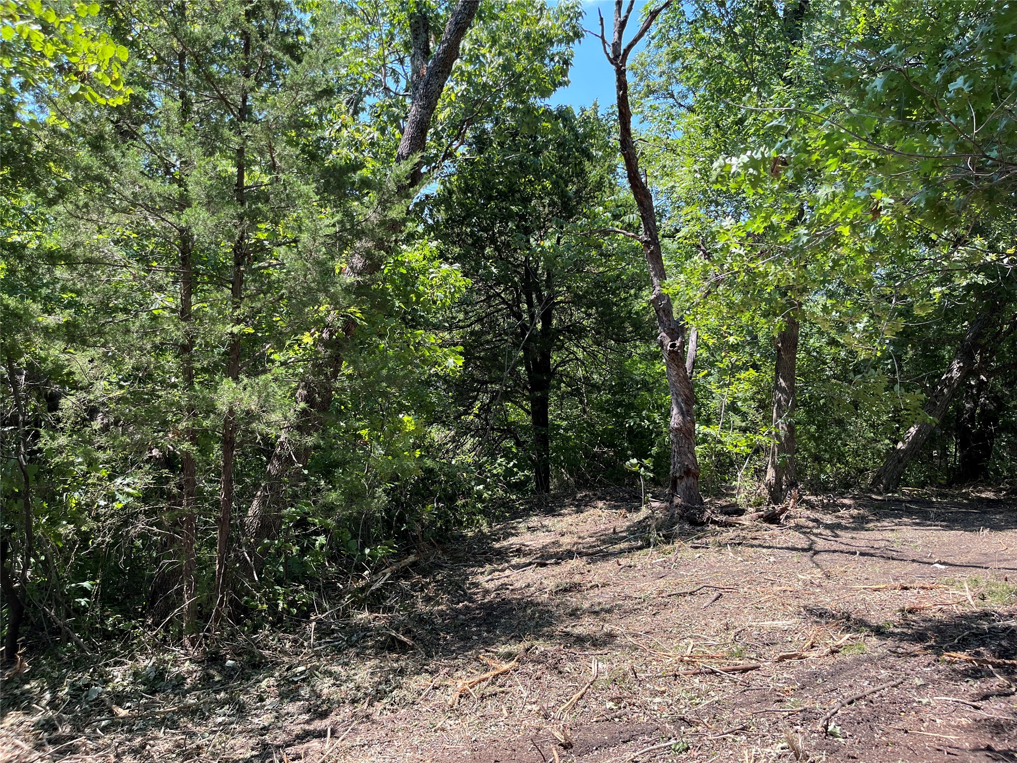 TBD Tx-160 OF
