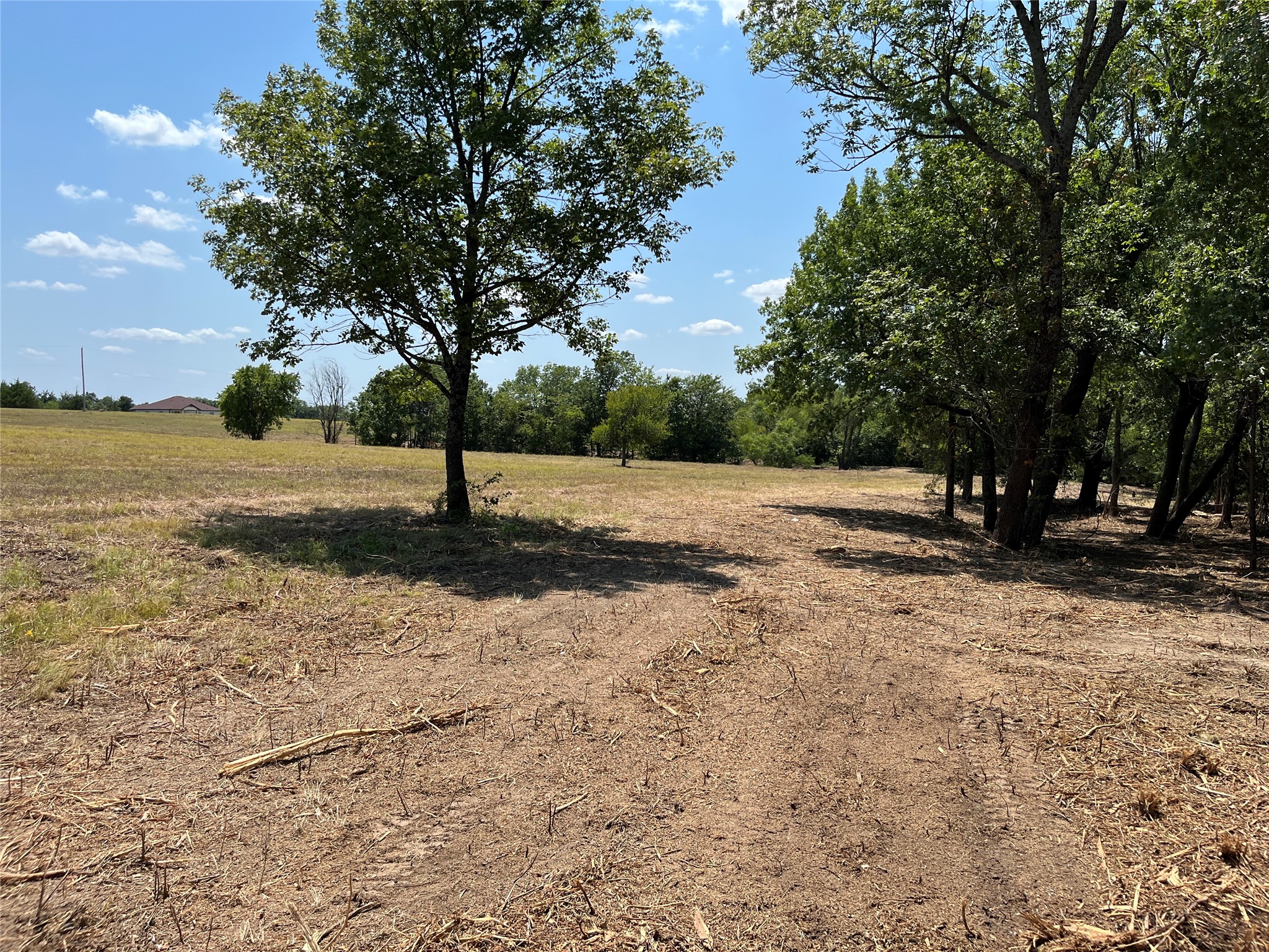 TBD Tx-160 OF