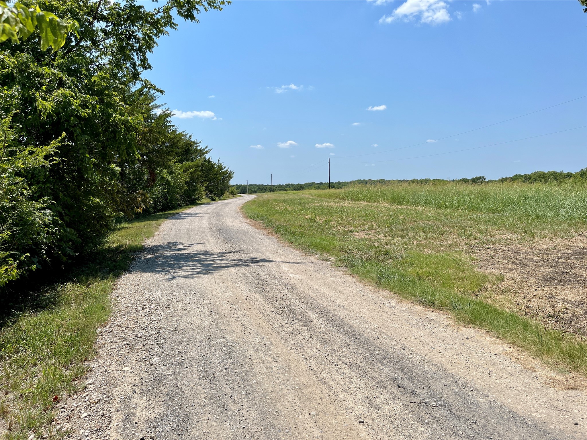 TBD Tx-160 OF