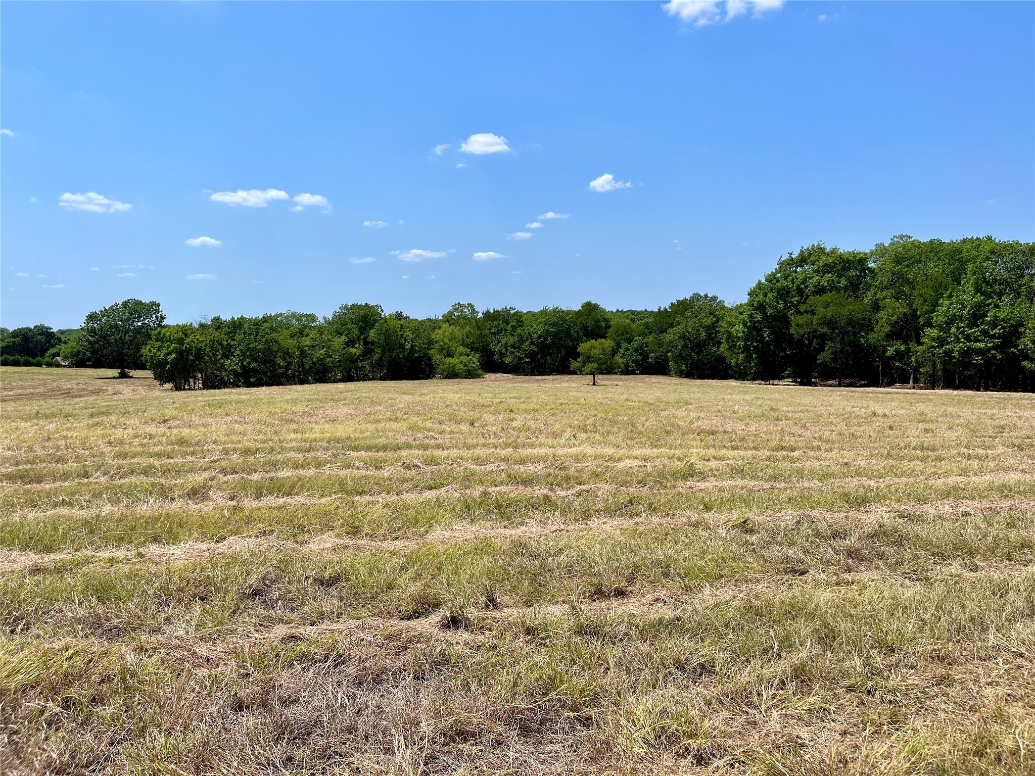 TBD Tx-160 OF