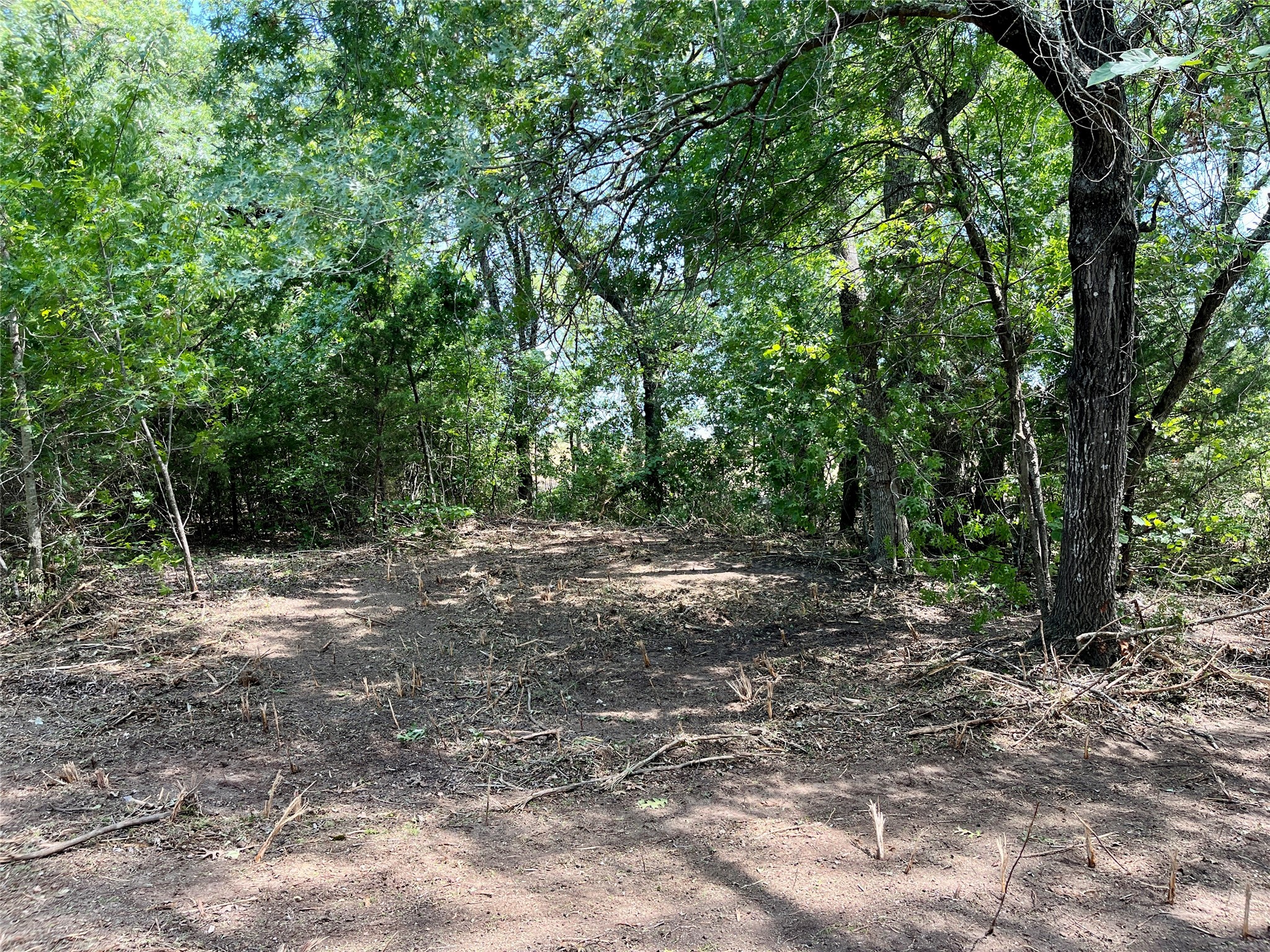 TBD Tx-160 OF