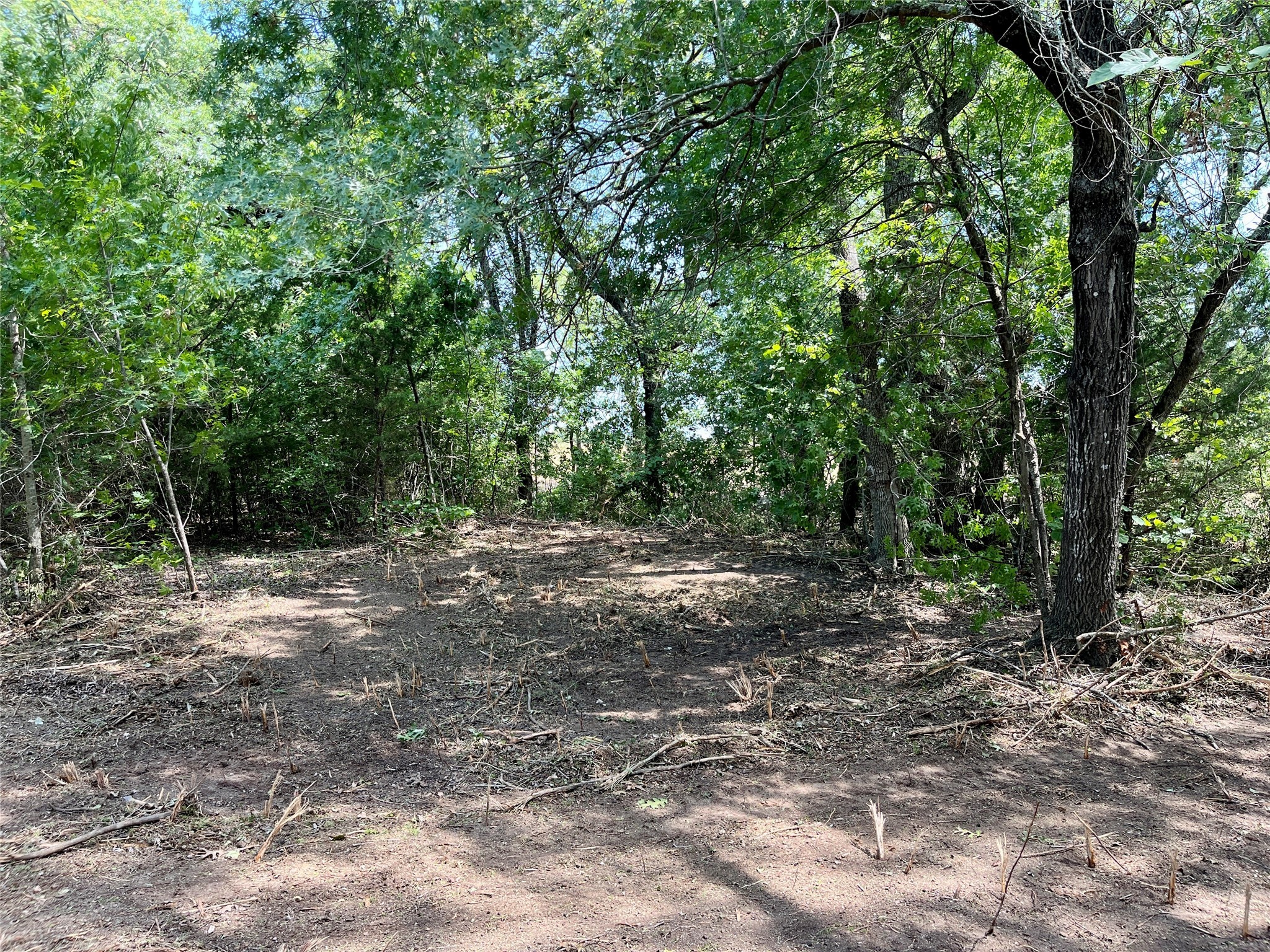 TBD Tx-160 OF