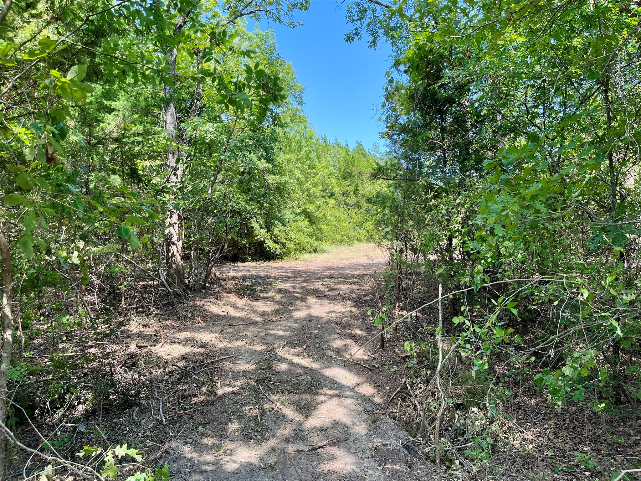 TBD Tx-160 OF