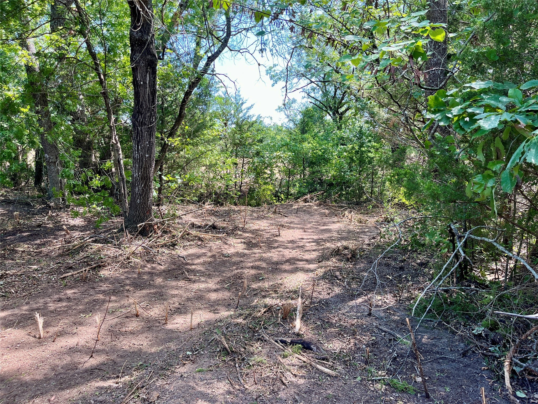 TBD Tx-160 OF