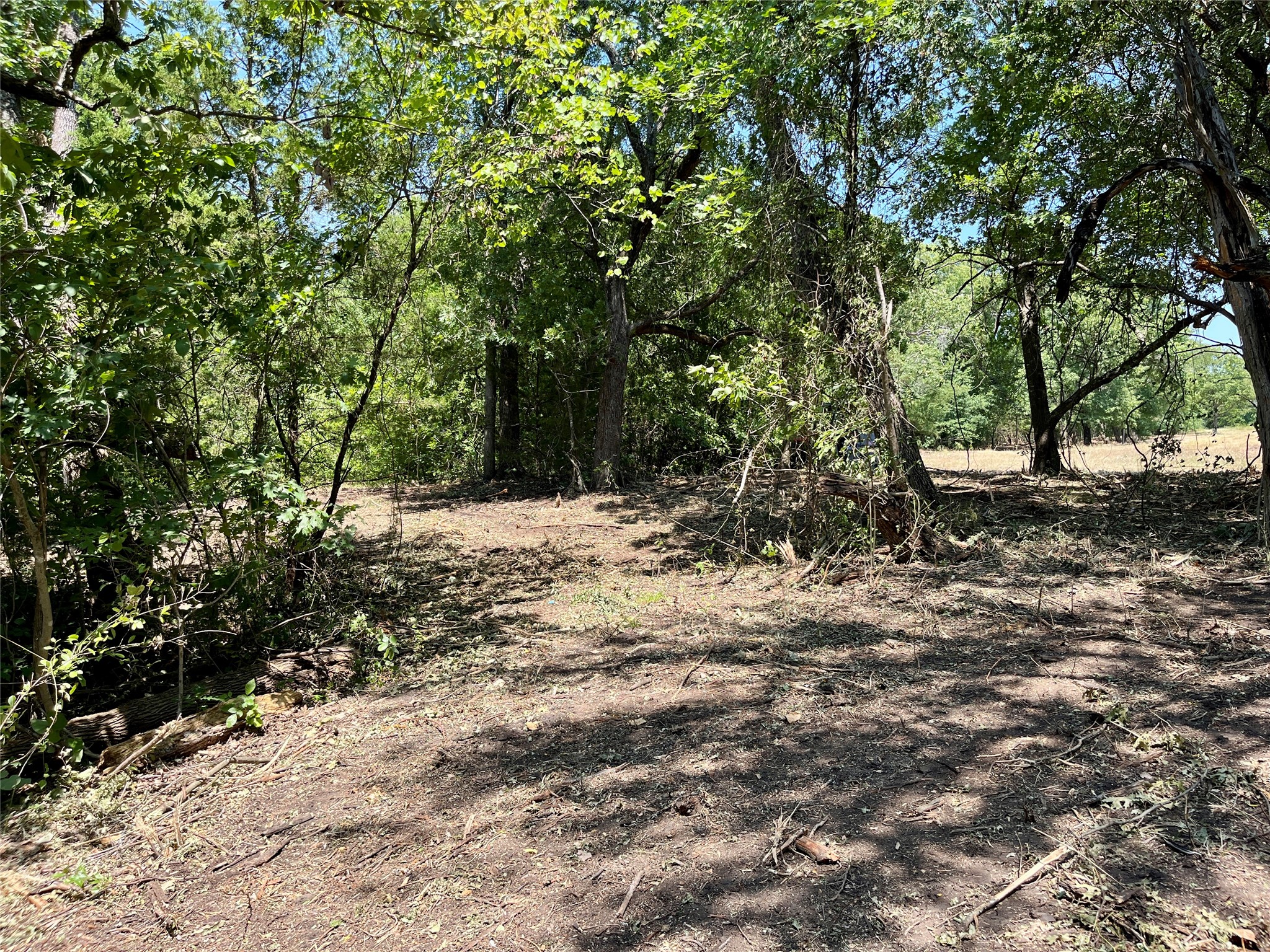 TBD Tx-160 OF
