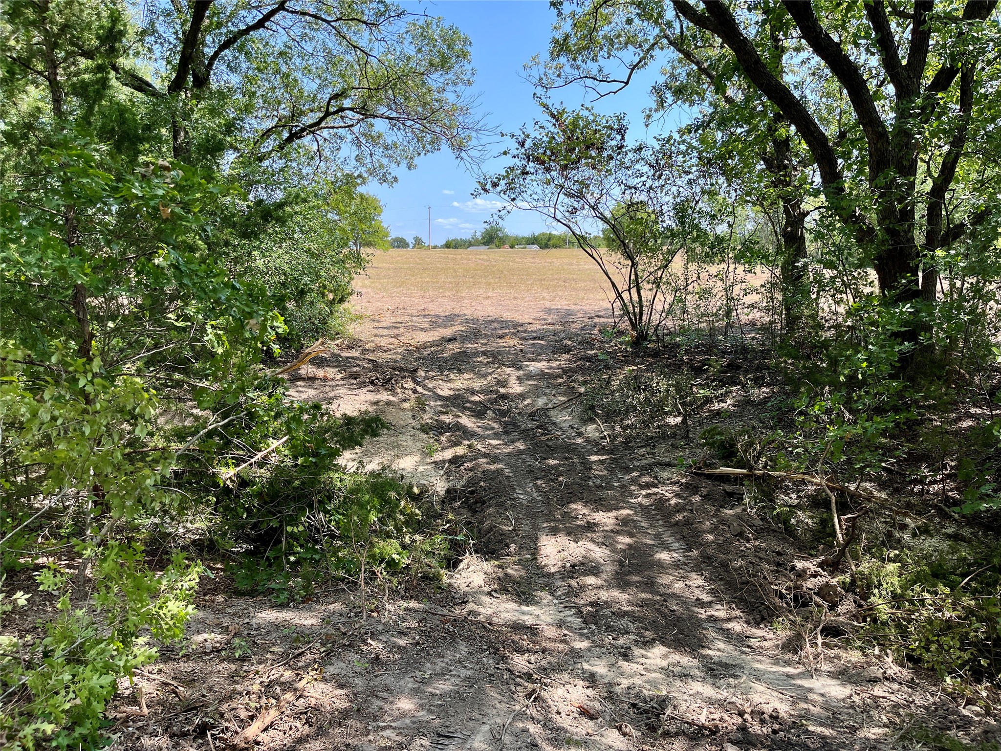 TBD Tx-160 OF