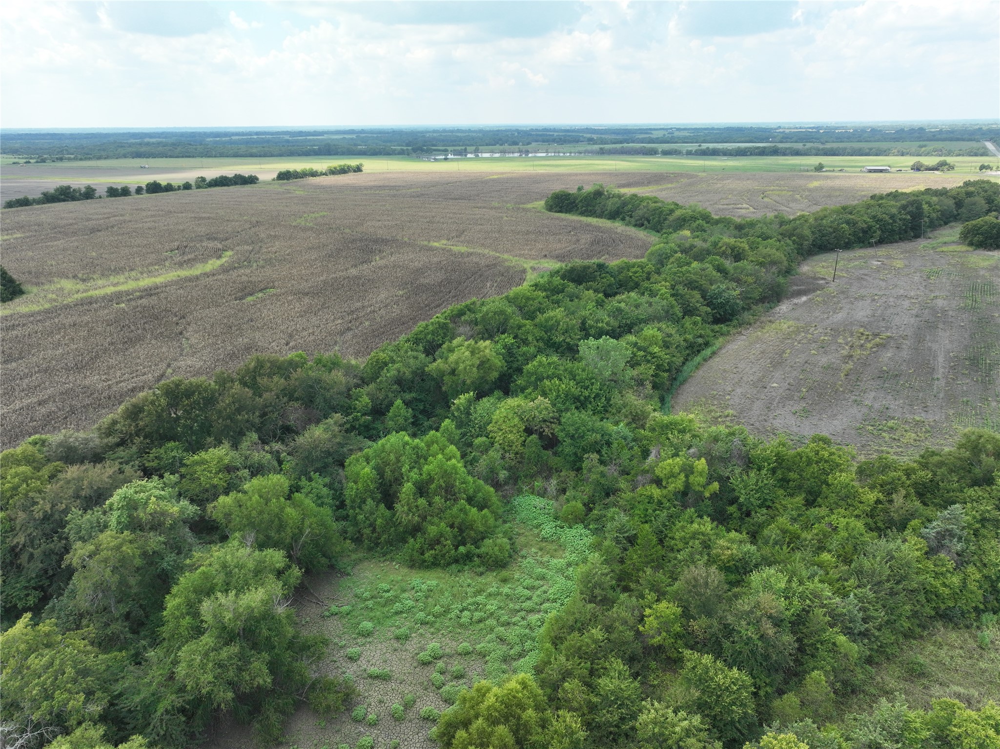 14589 Farm Road 137