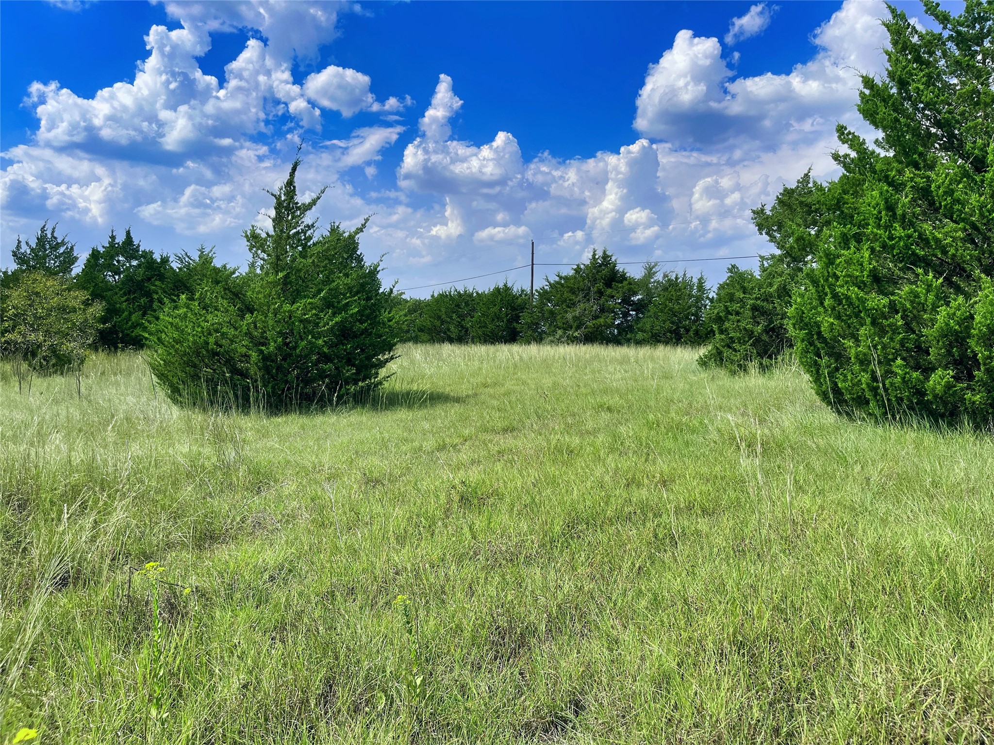 1408 Wortham Road