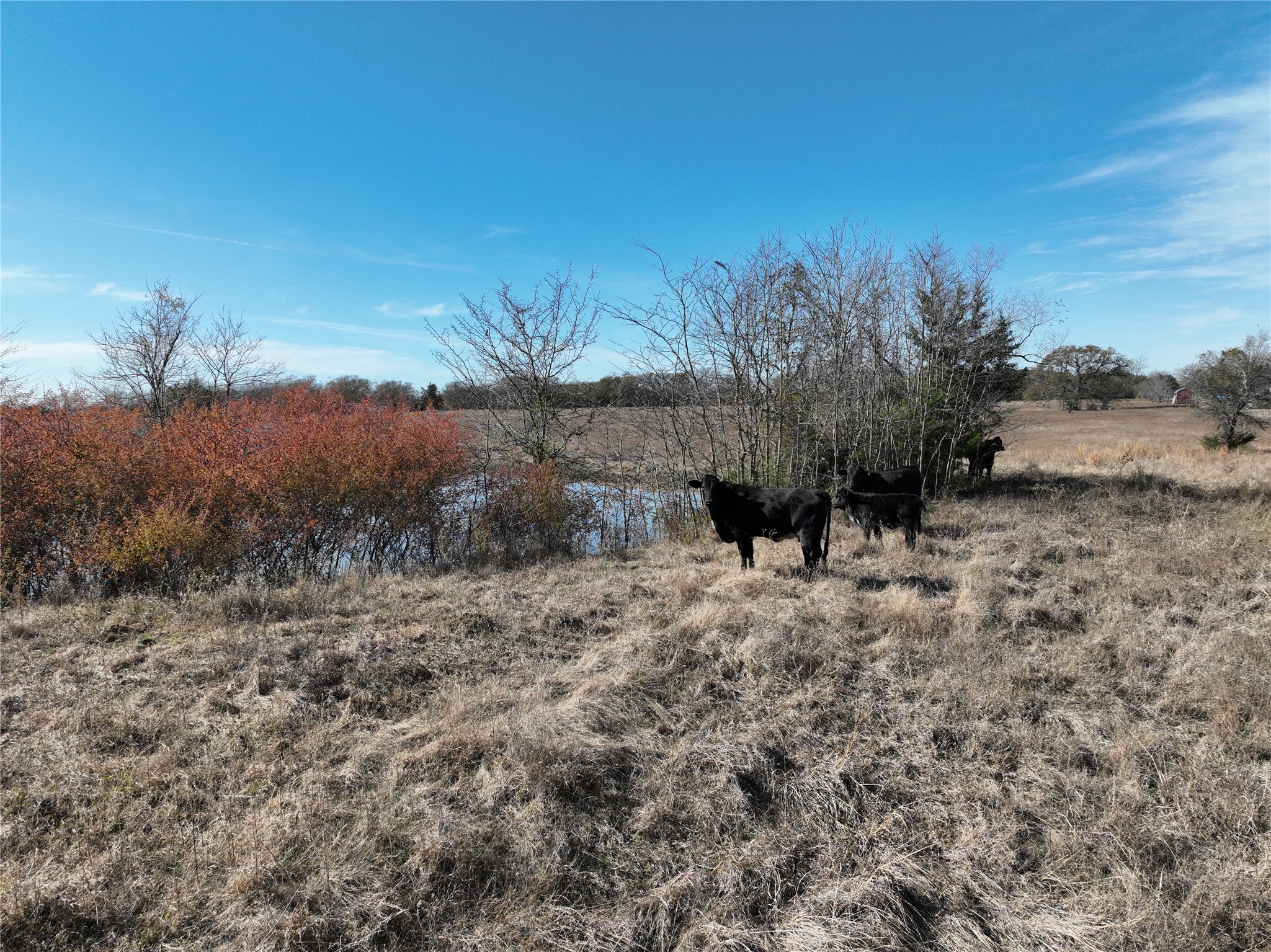 001 County Road 3223