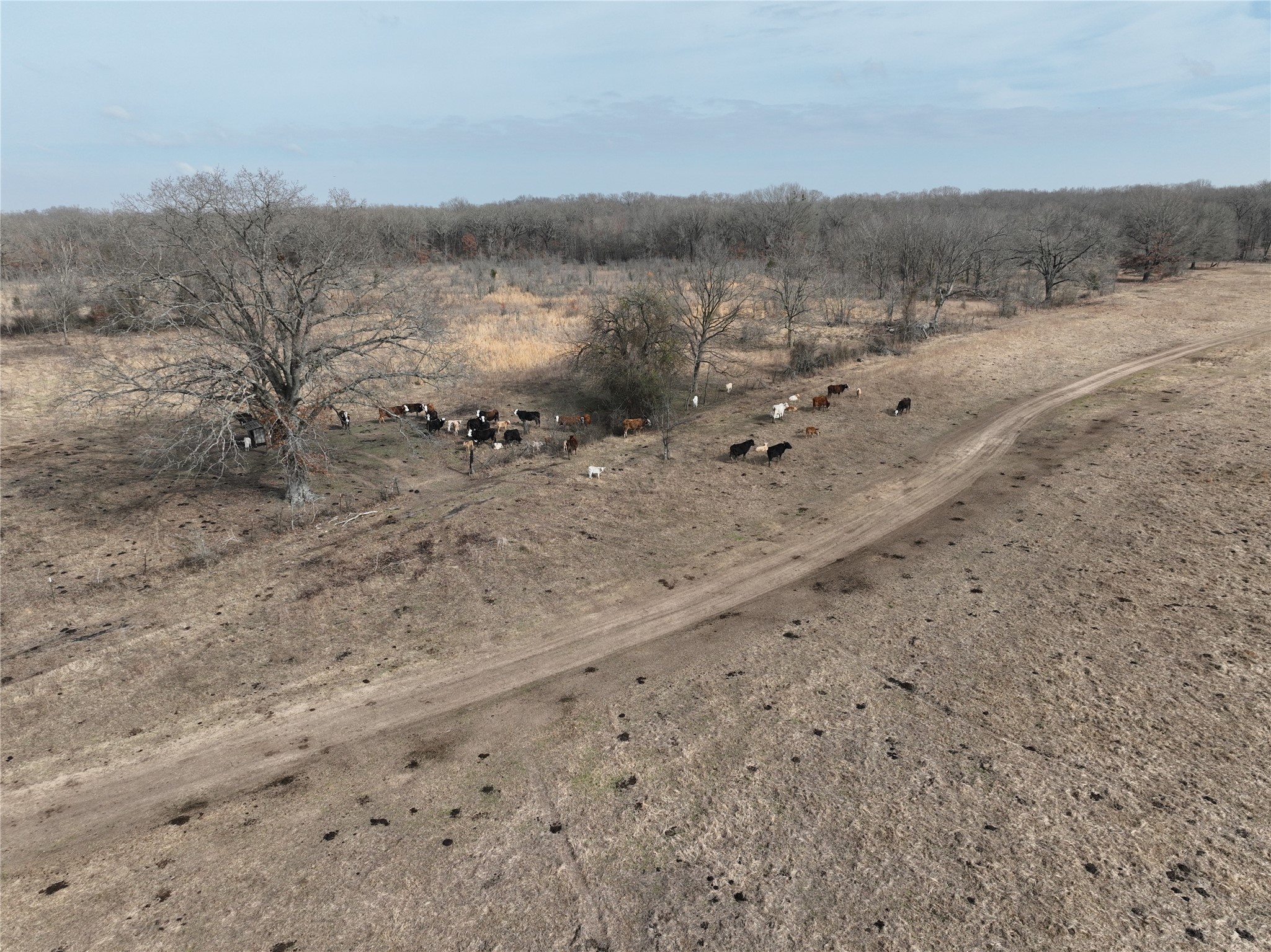 4905 County Road 1412