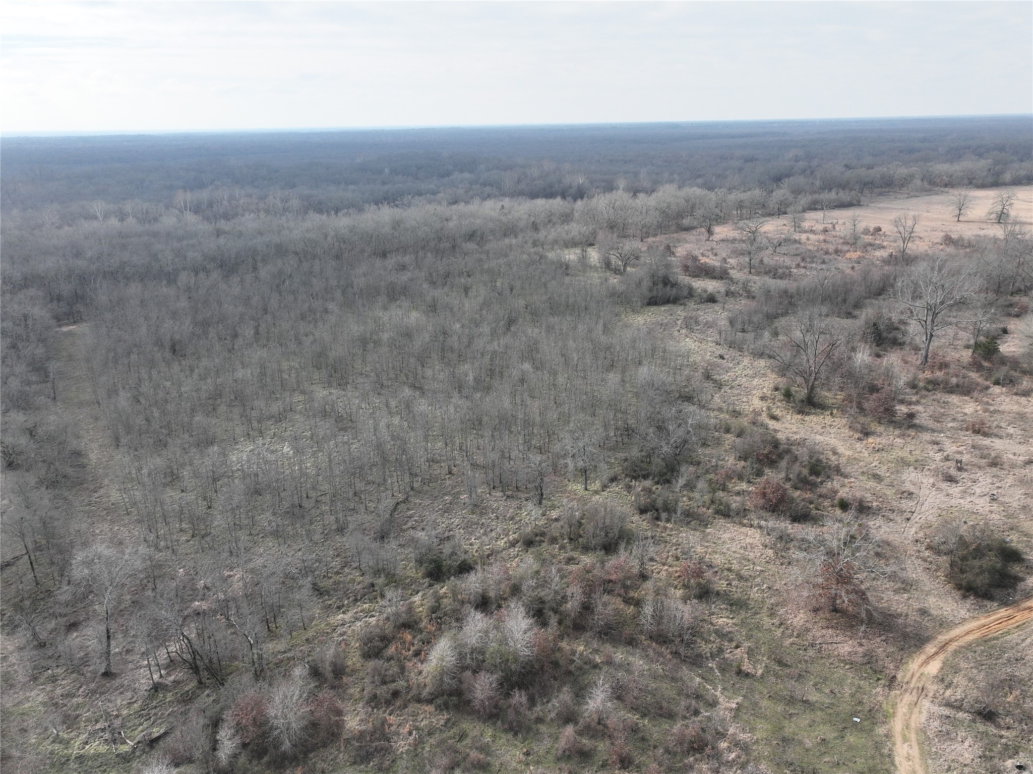 4905 County Road 1412