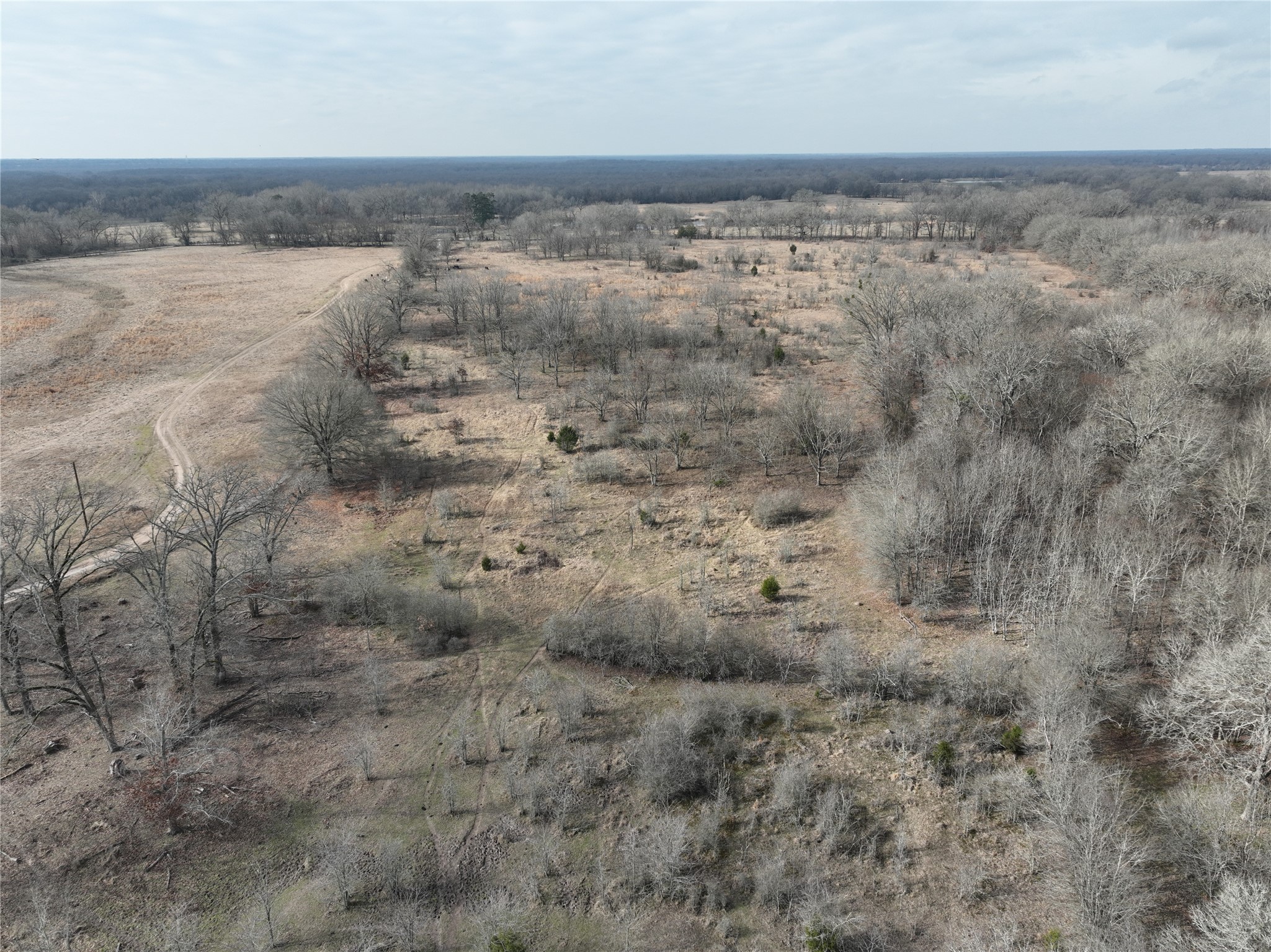 4905 County Road 1412