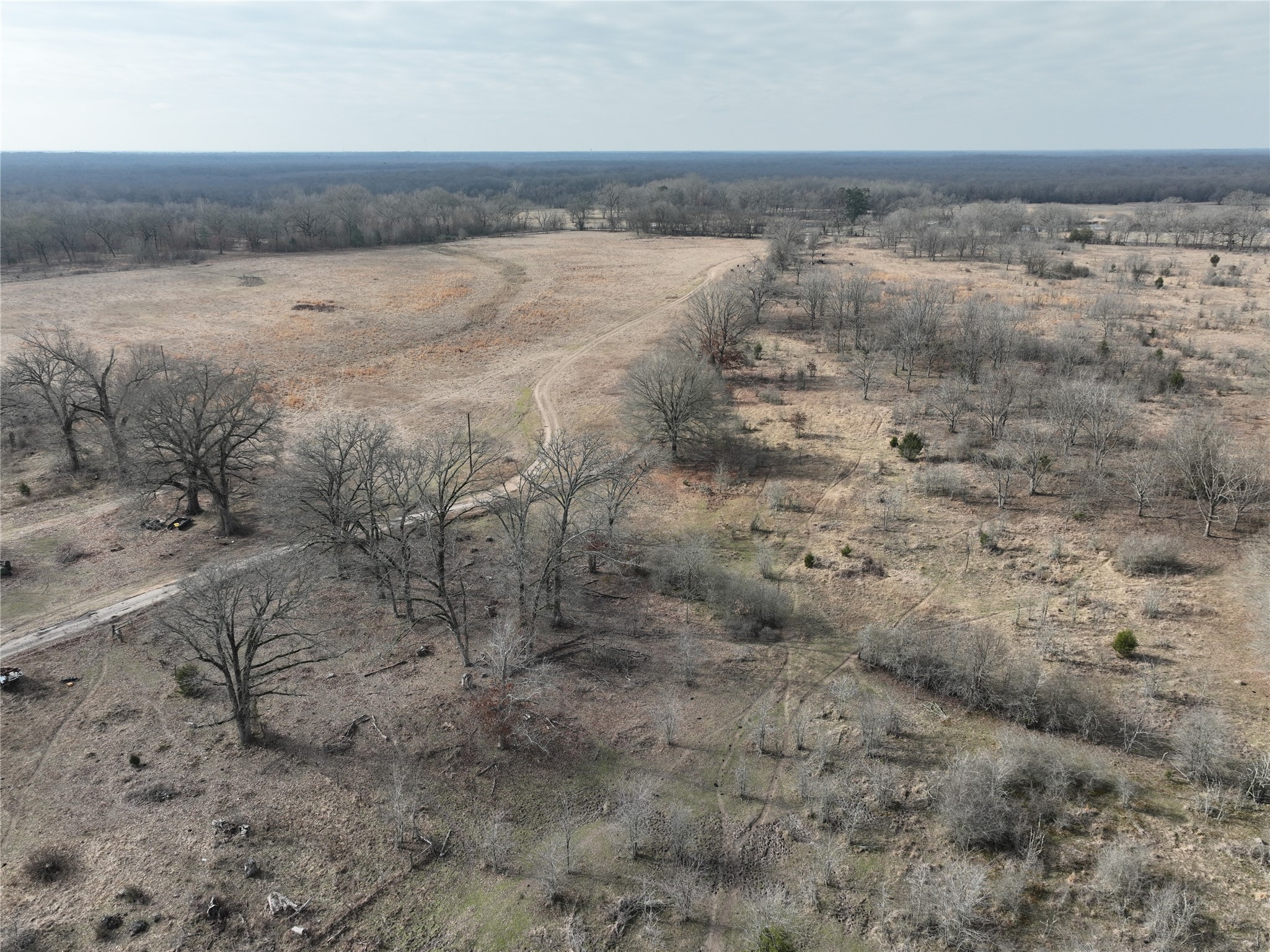 4905 County Road 1412