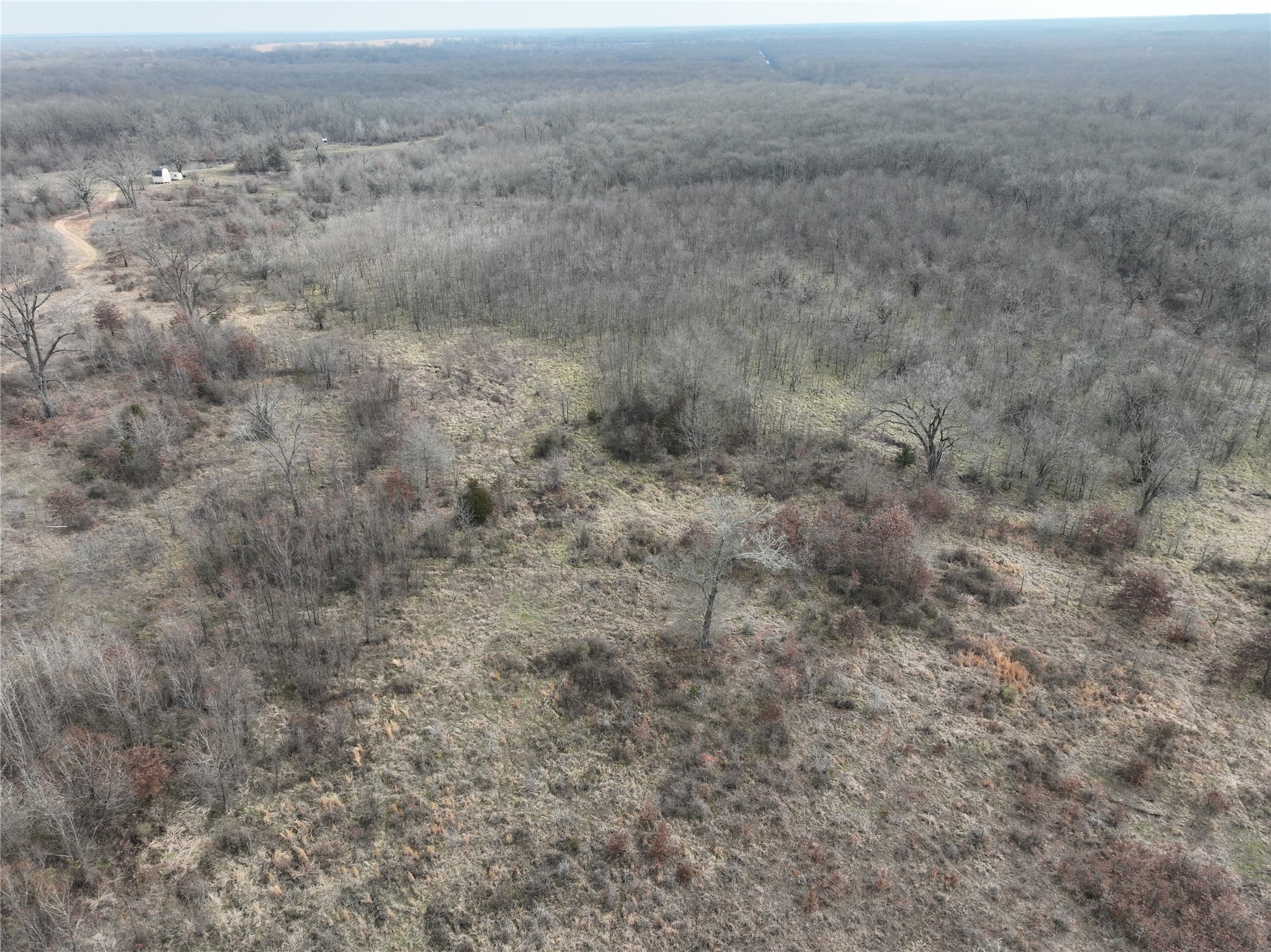 4905 County Road 1412