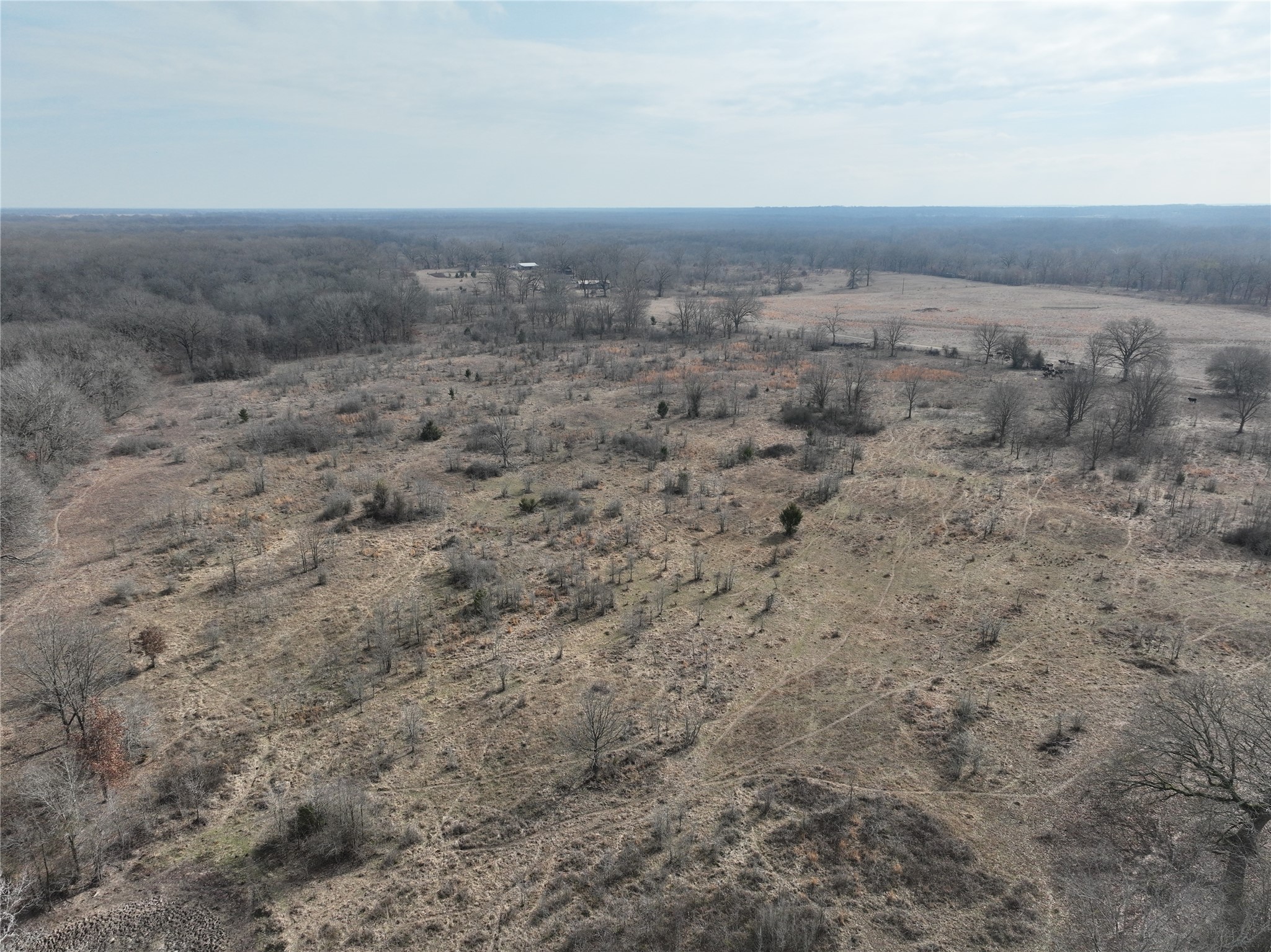 4905 County Road 1412