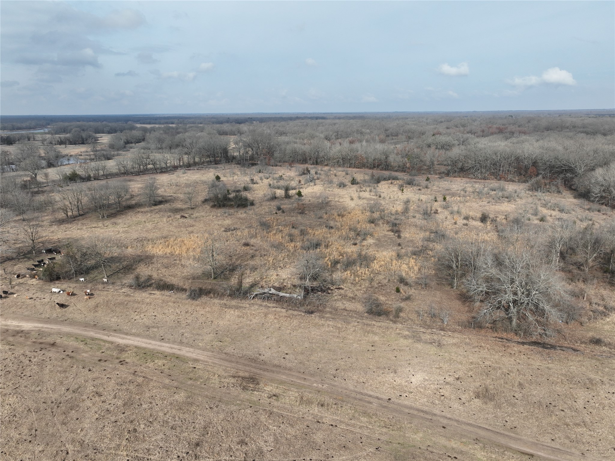 4905 County Road 1412