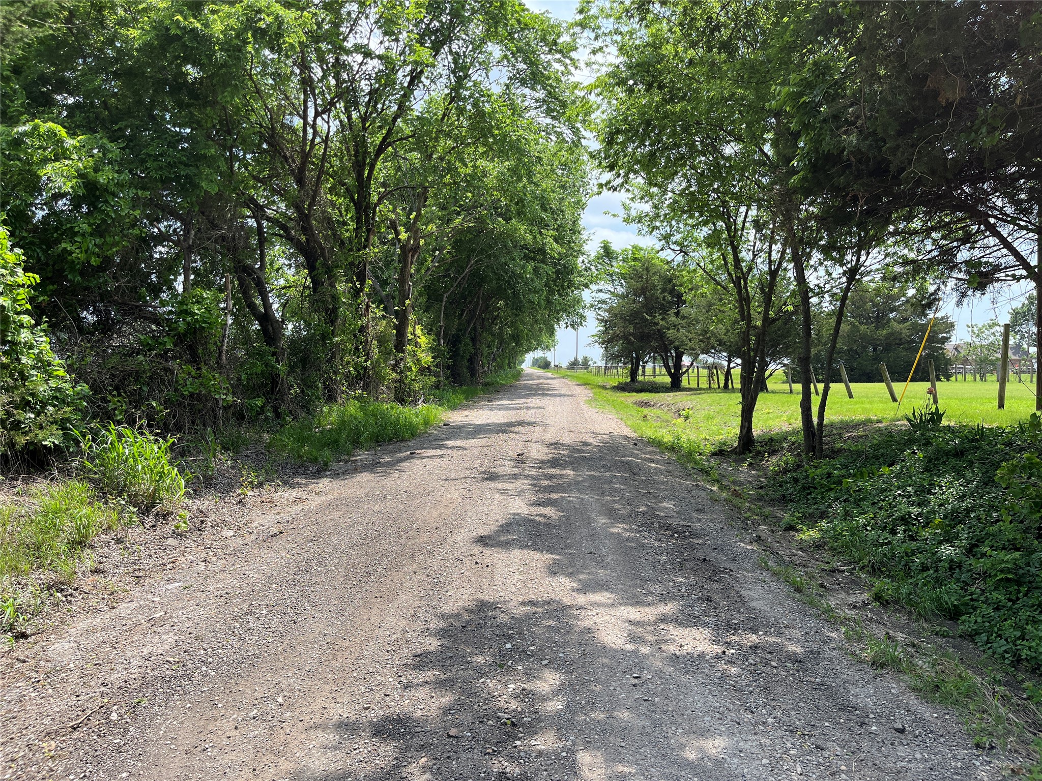 864 County Road 4425