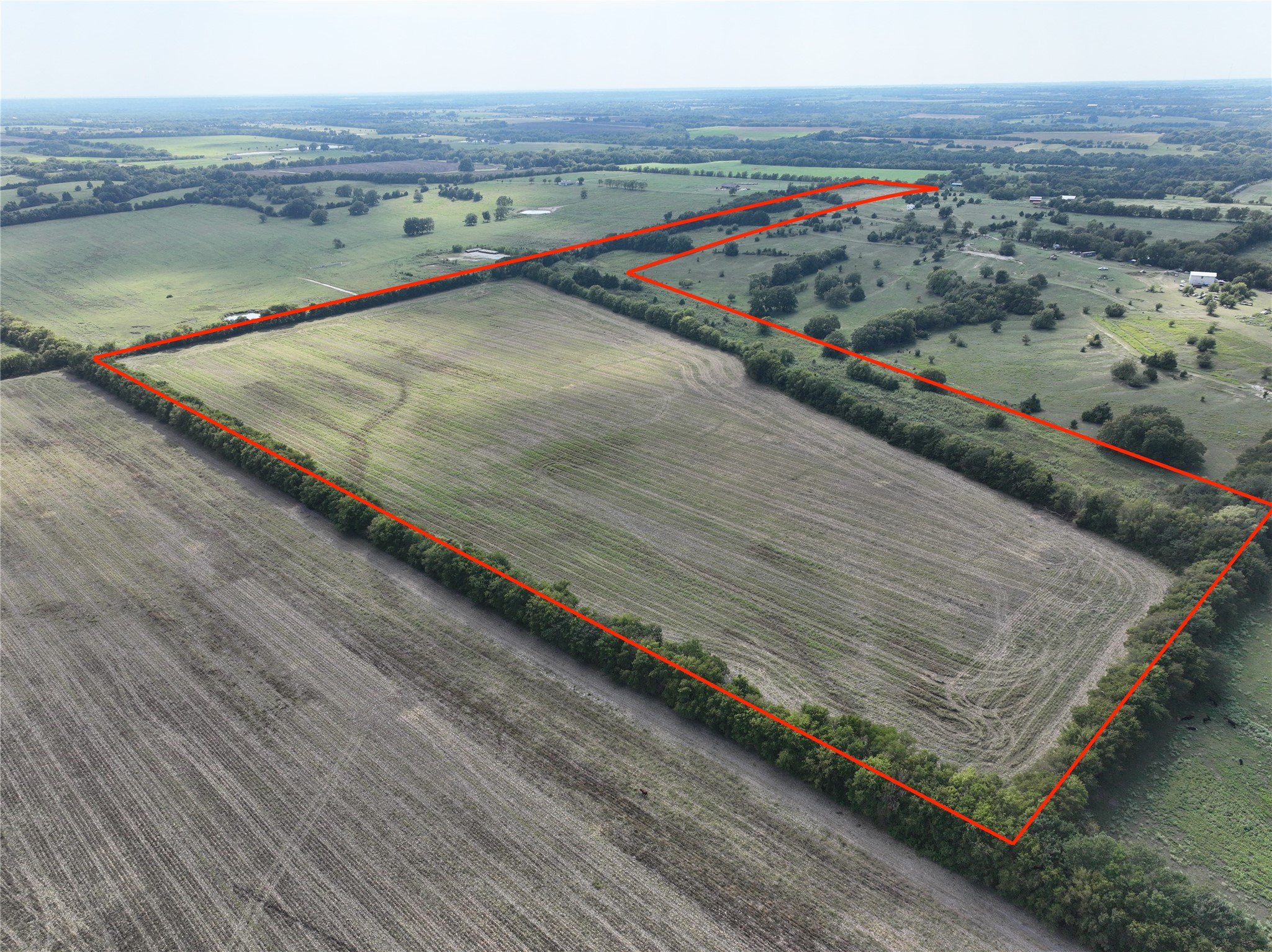 TBD Hall Road