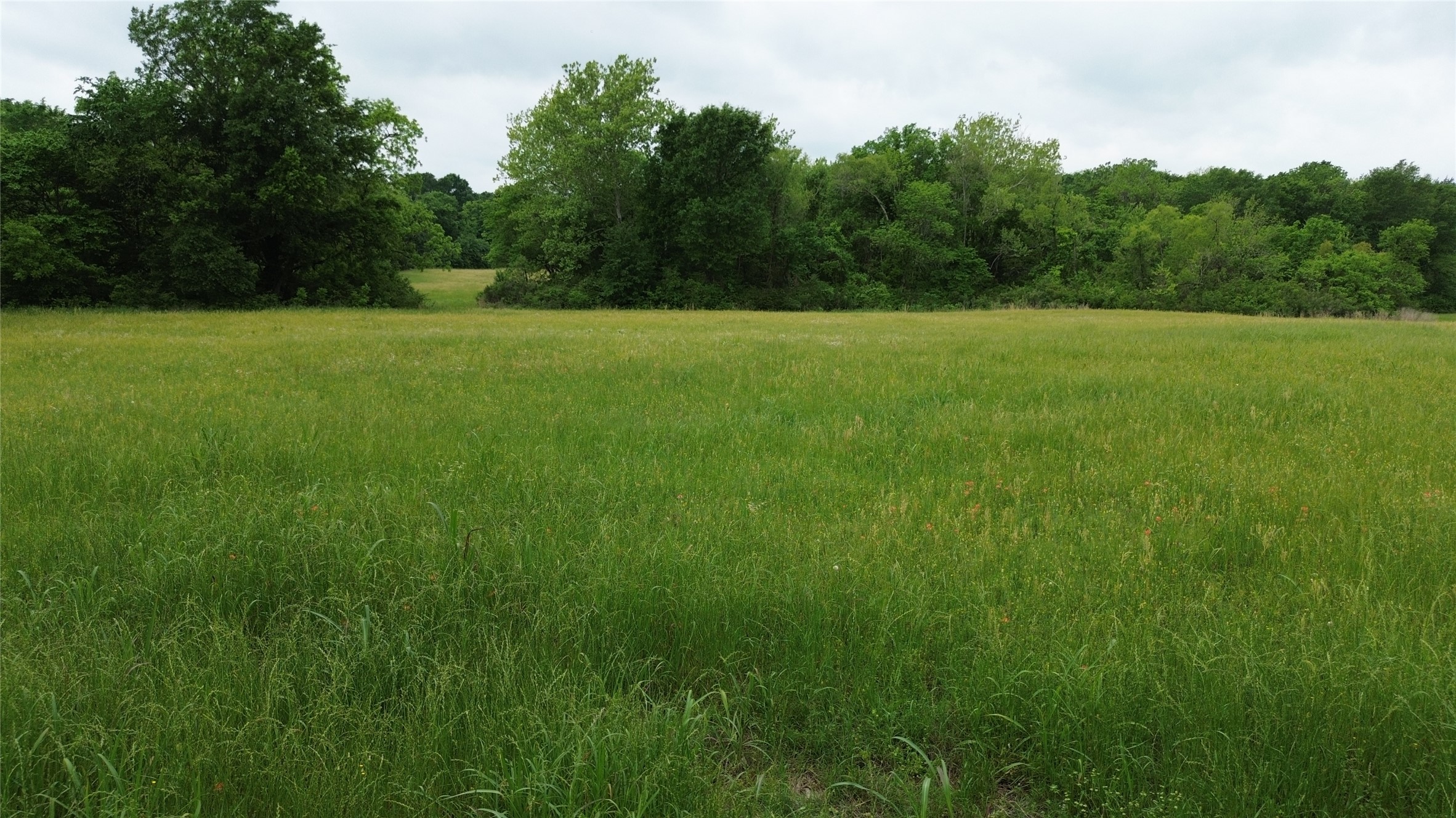 TBD County Road 2010