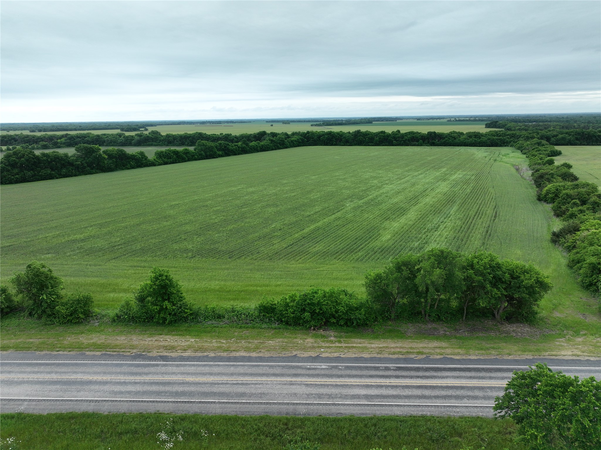 TBD HWY 56 Highway