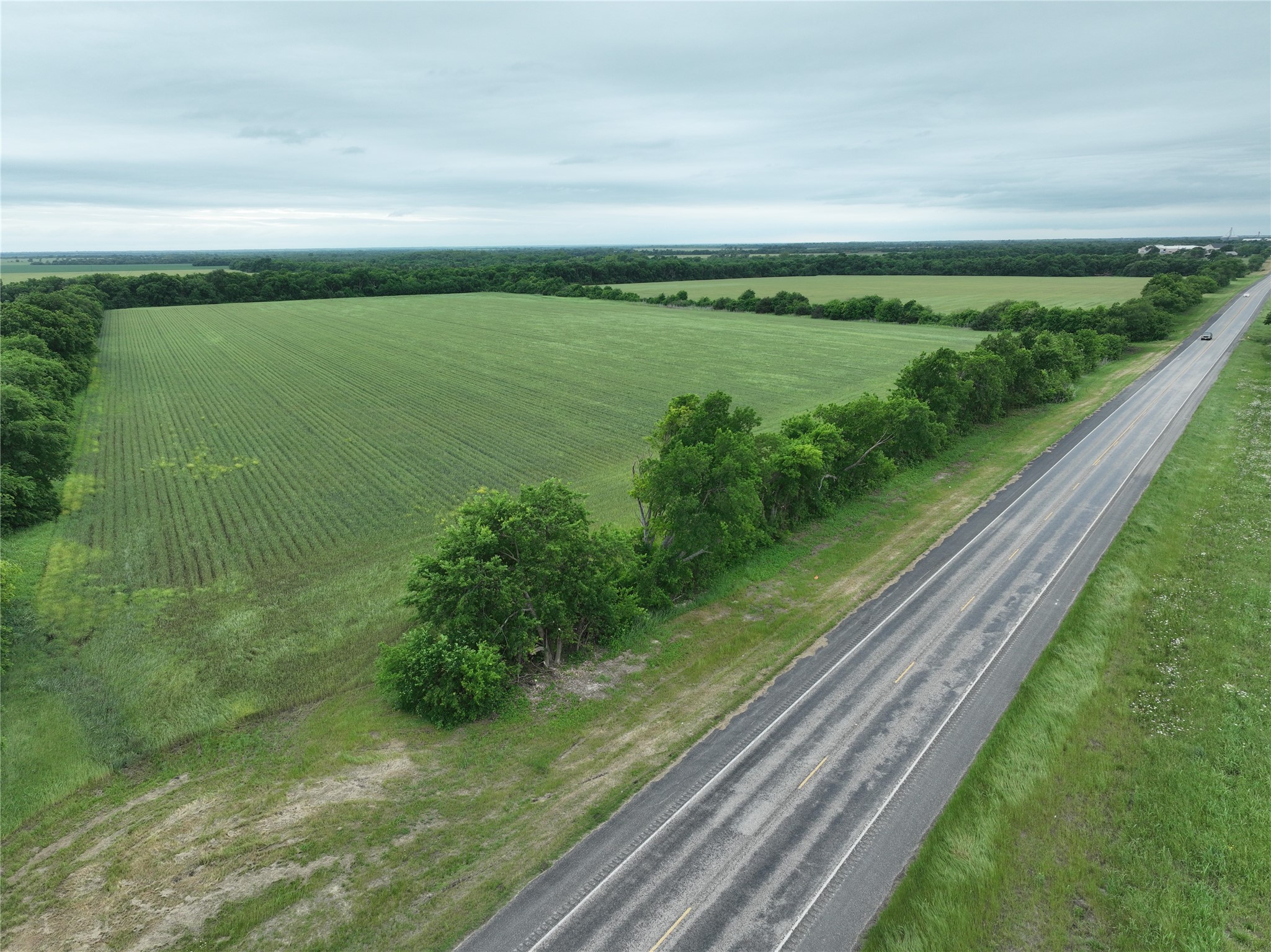 TBD HWY 56 Highway