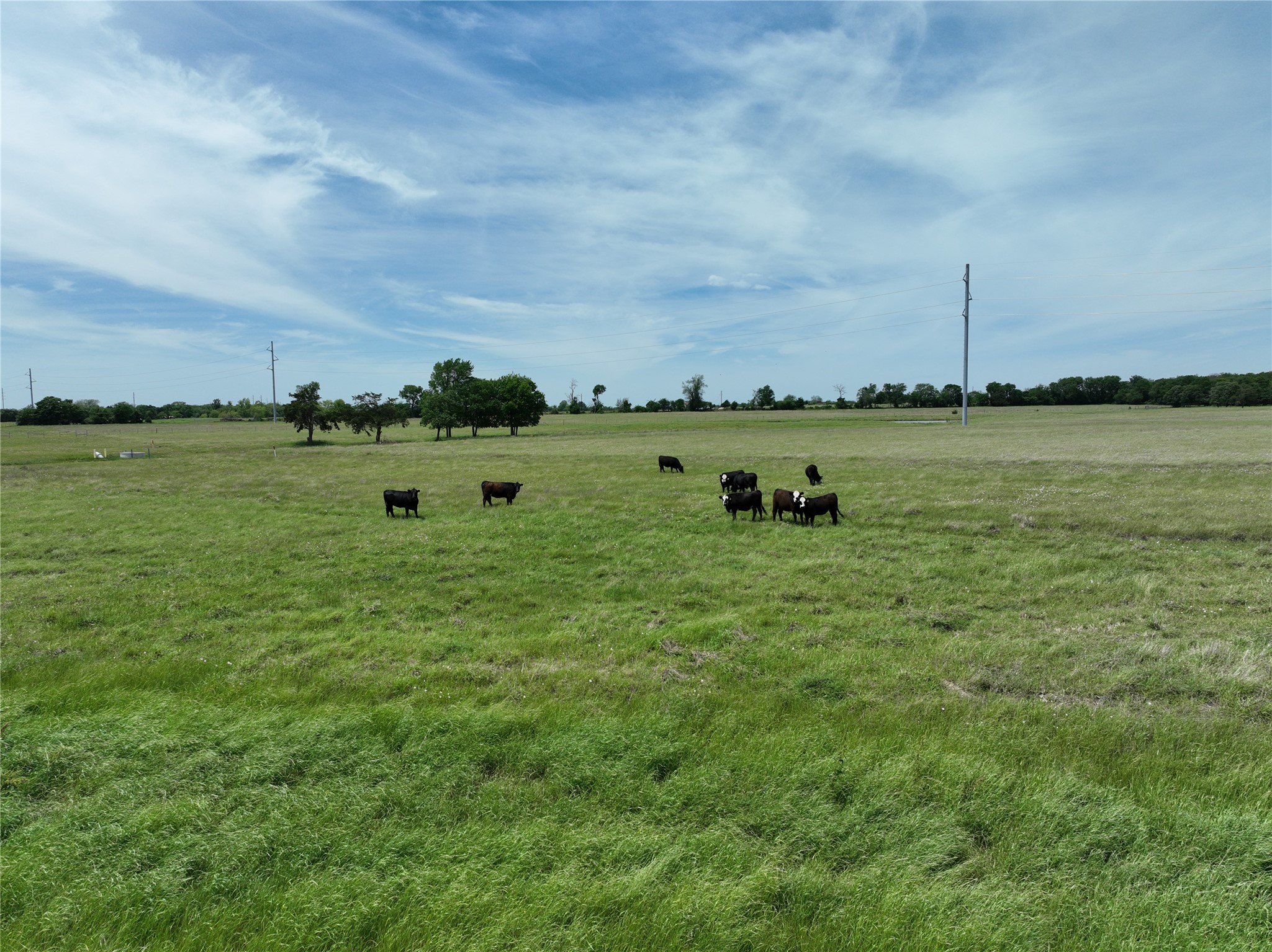 TBD Tract 4 County Road 4830