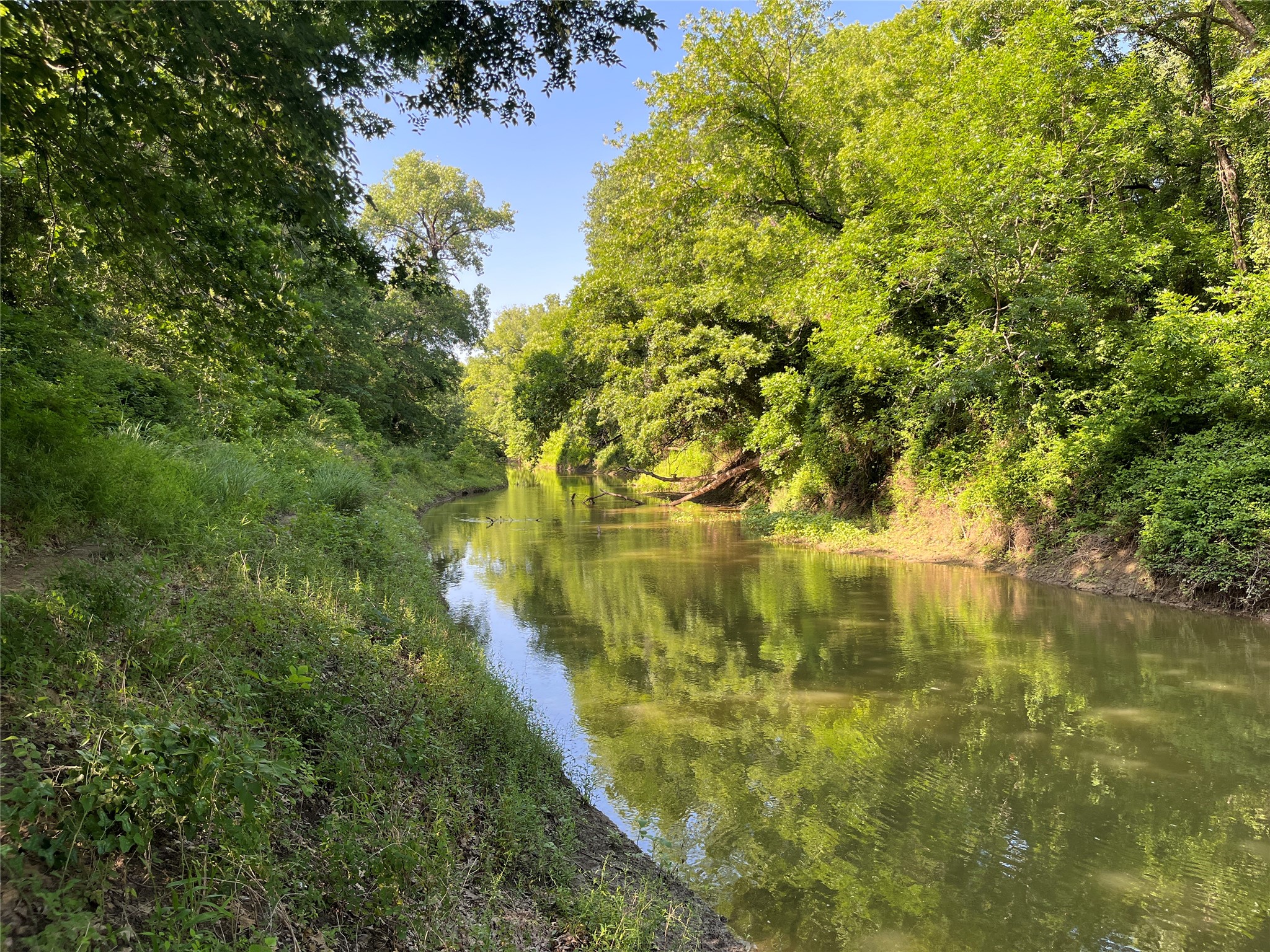 A wooded creek with dense green banks and trees reflected in the water.
