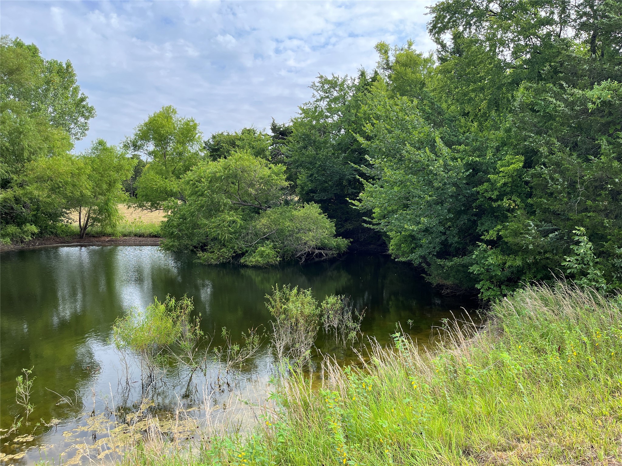 451 Coker Road