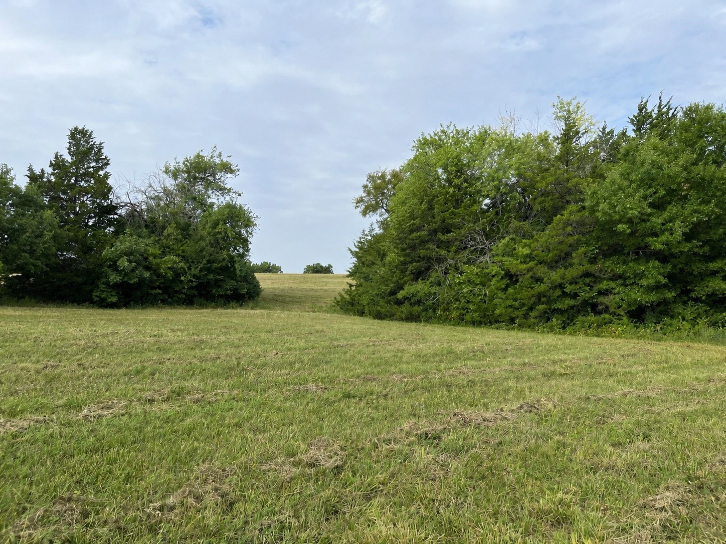 451 Coker Road