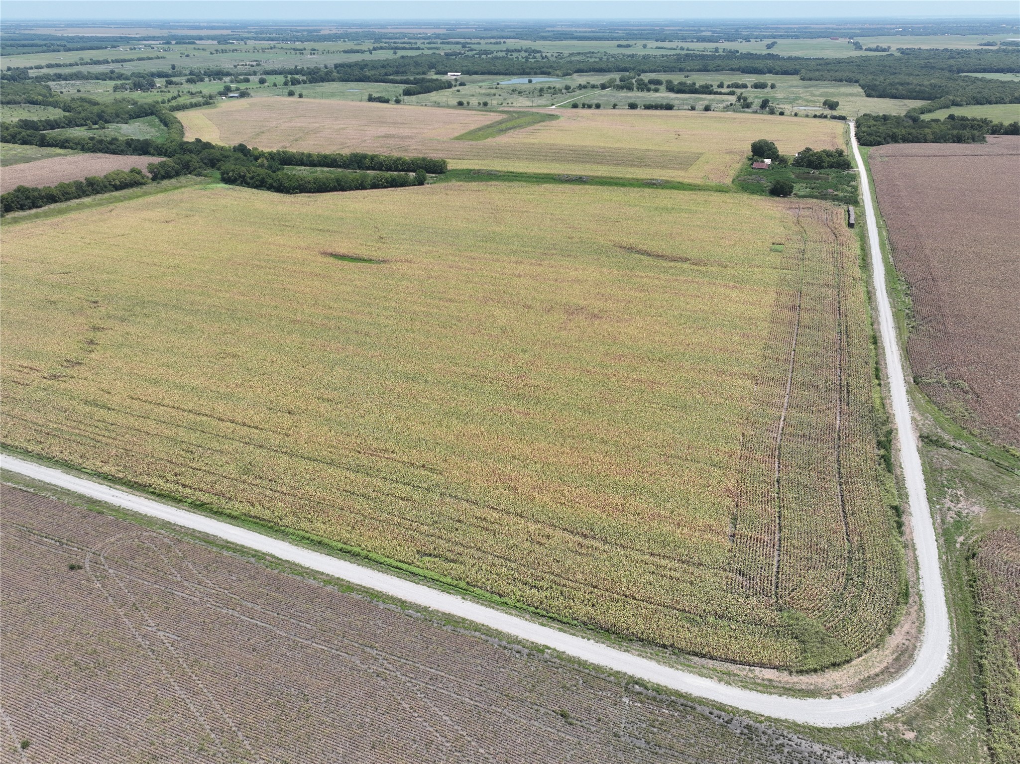 157 Acres FM 904