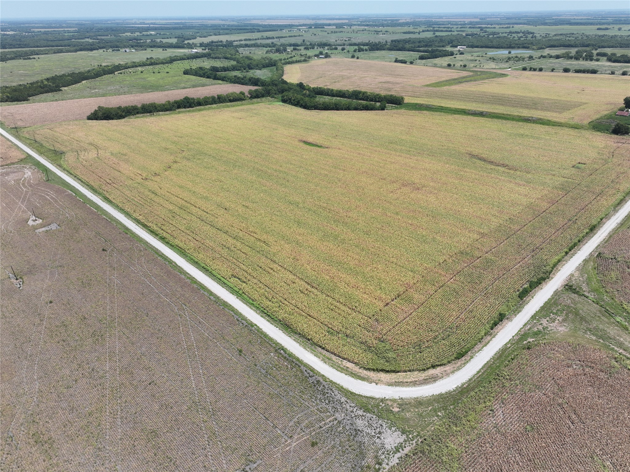 157 Acres FM 904