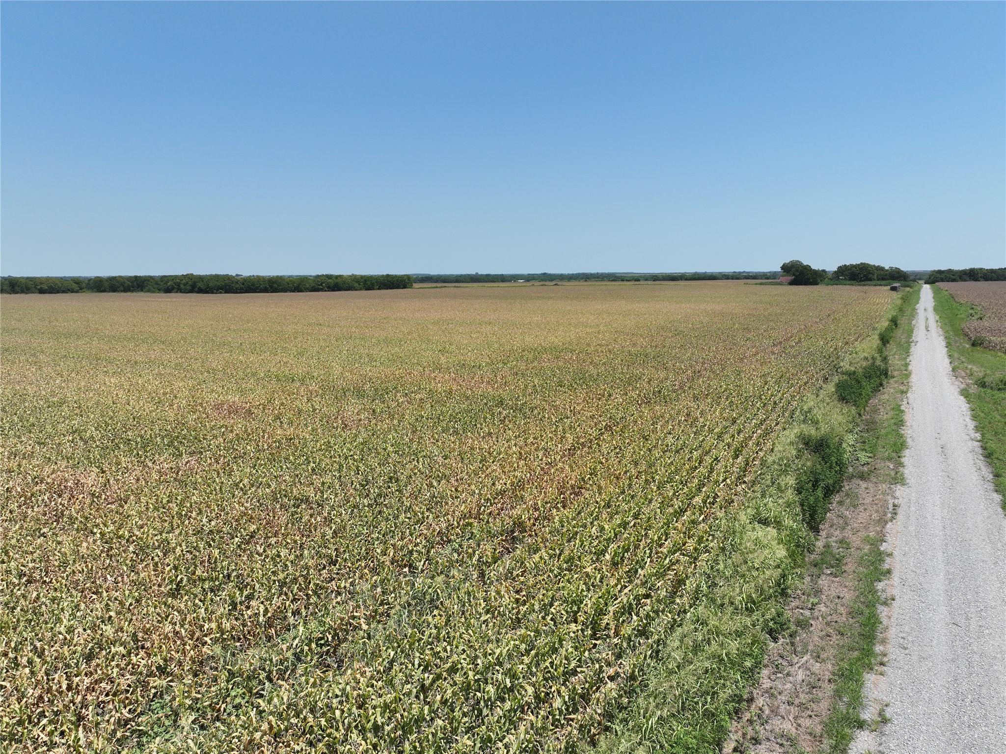157 Acres FM 904