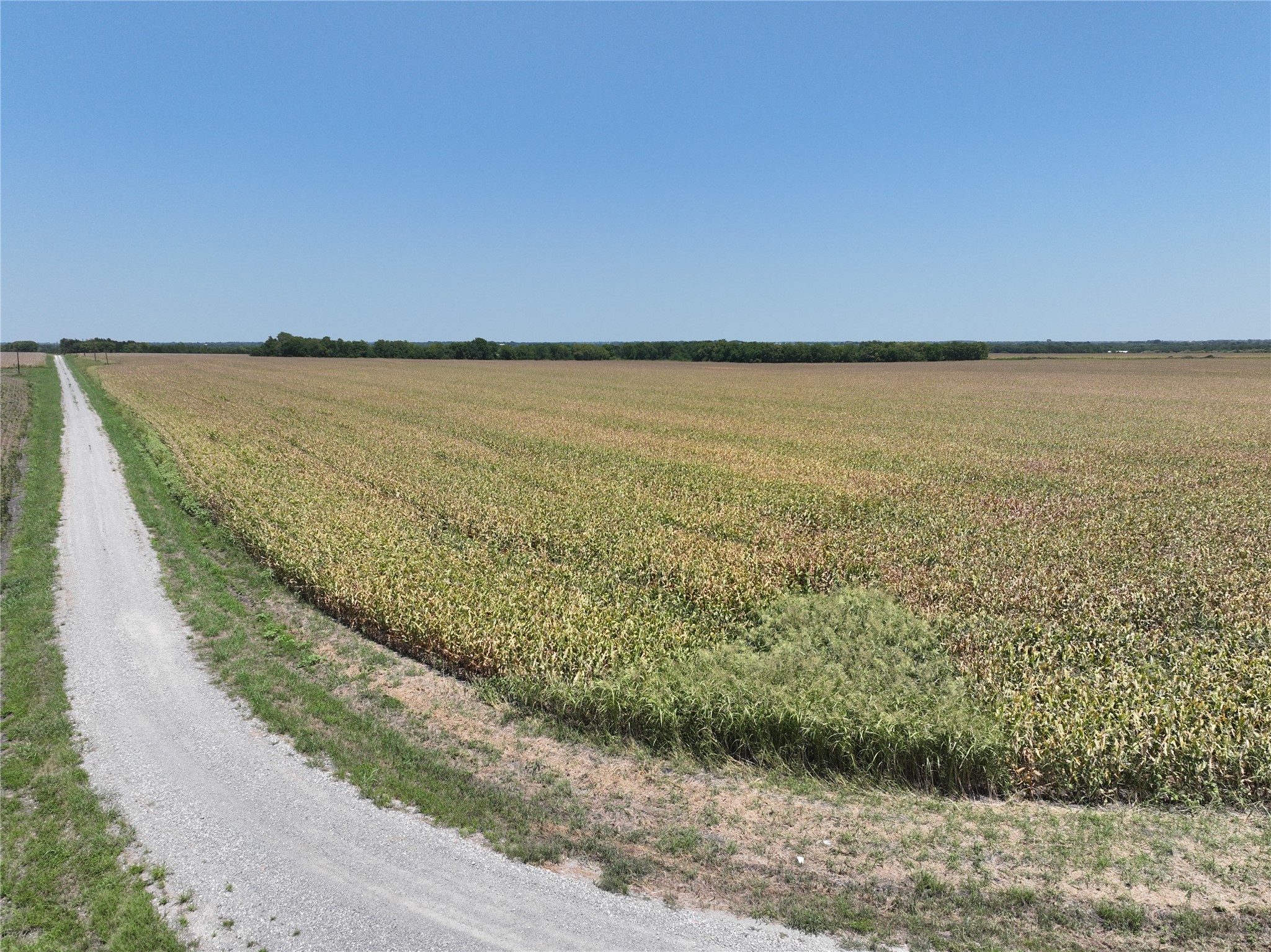 157 Acres FM 904