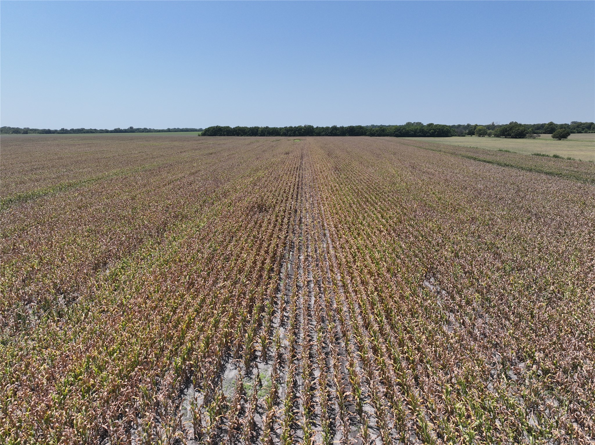 96 Acres FM 137