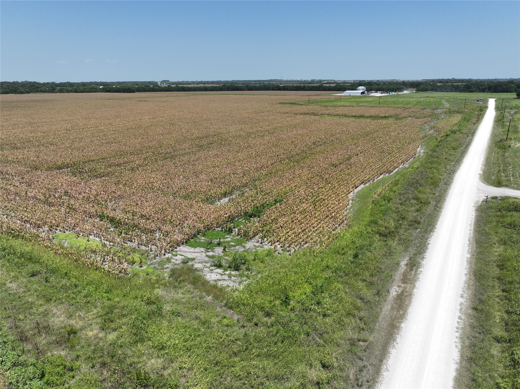 96 Acres FM 137