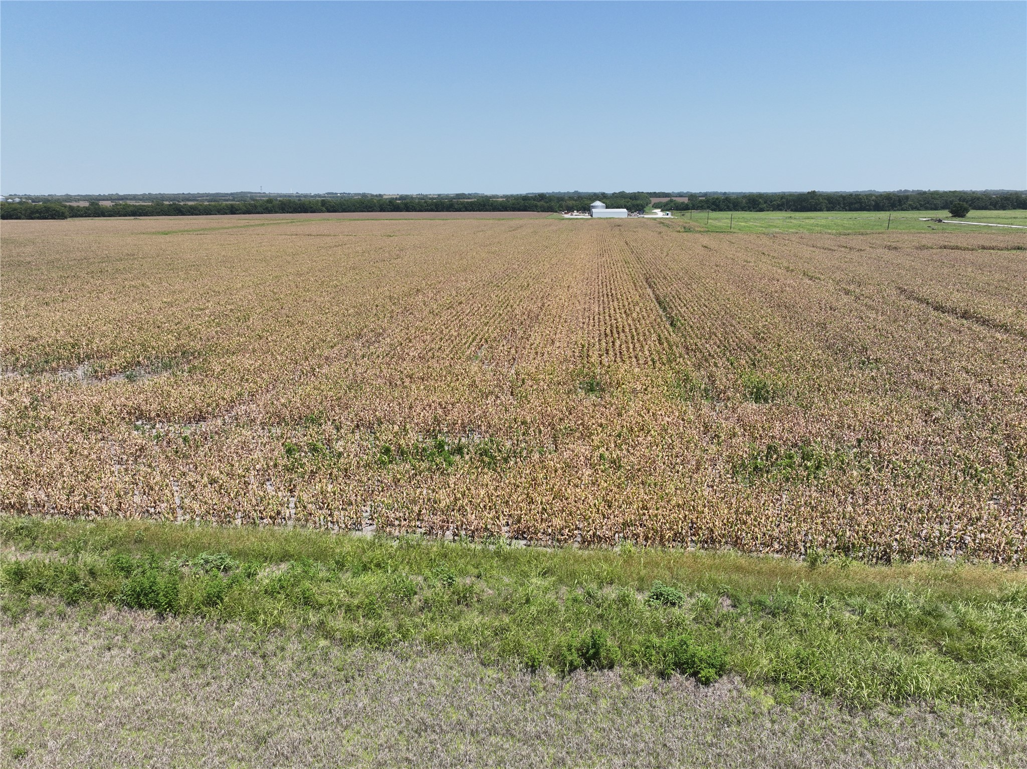 96 Acres FM 137