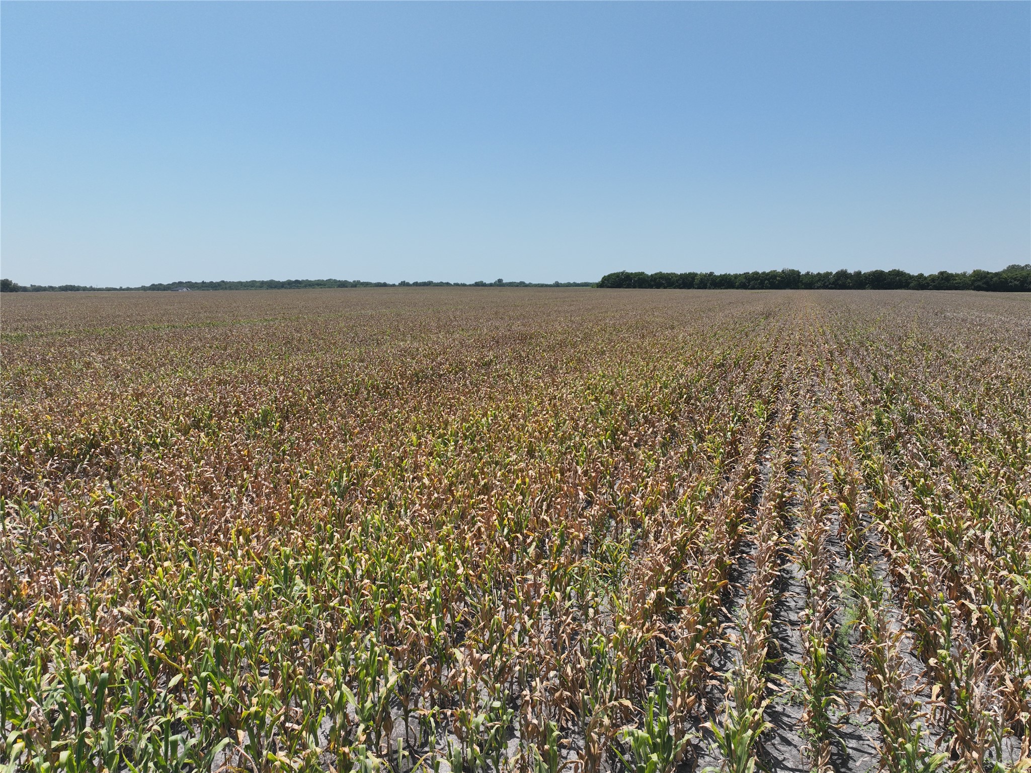 96 Acres FM 137
