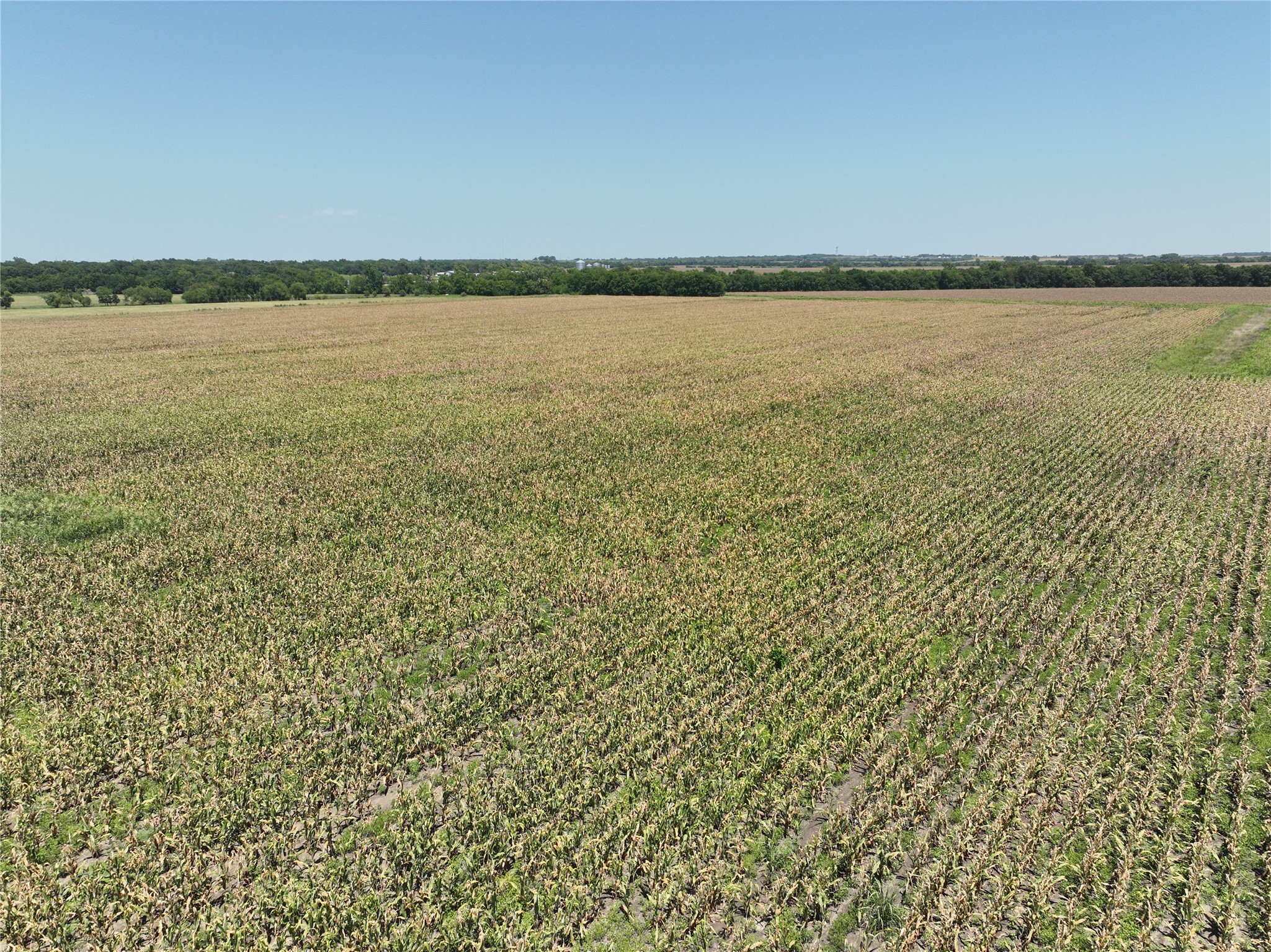 96 Acres FM 137