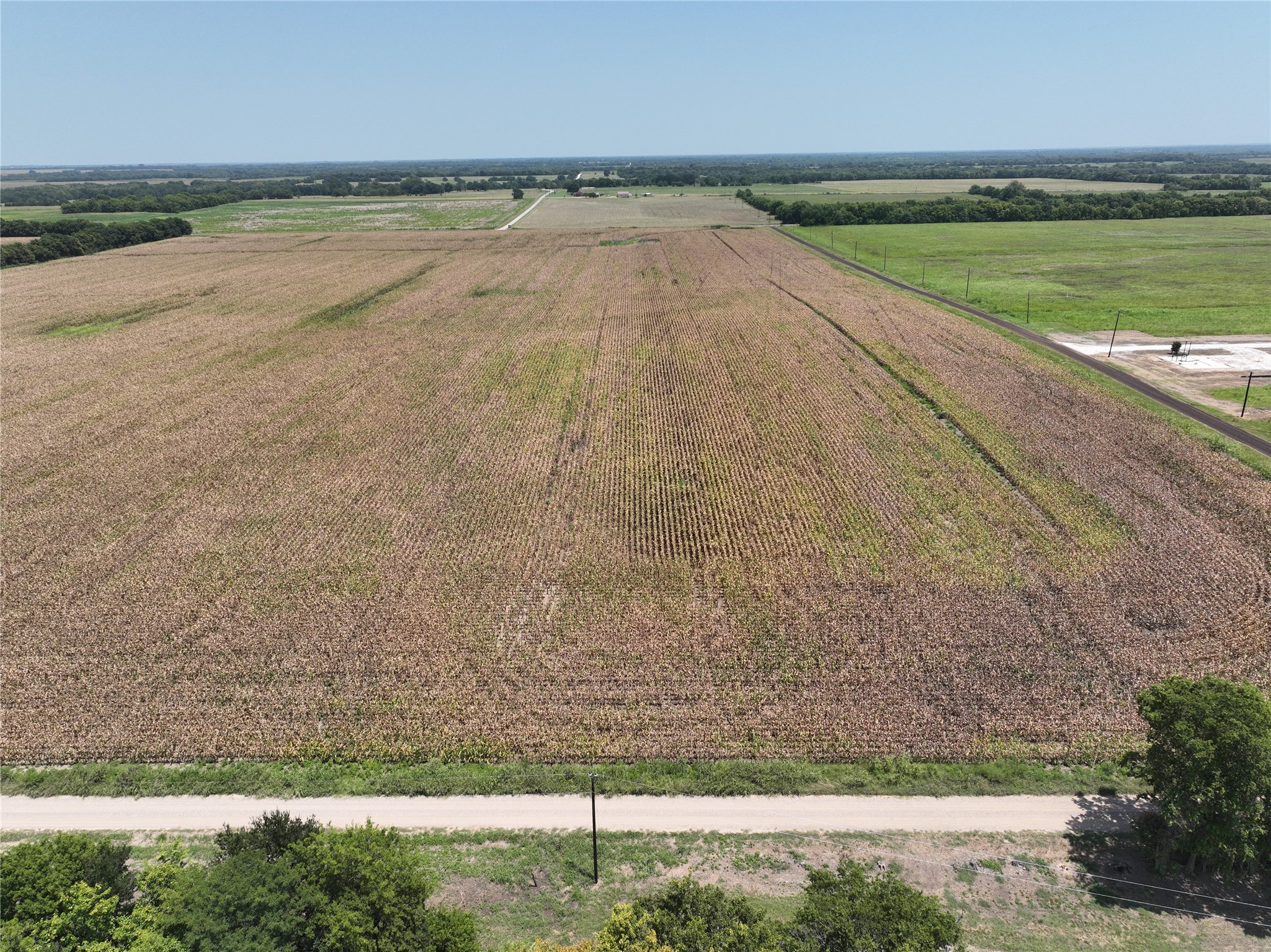 61 Acres FM 137