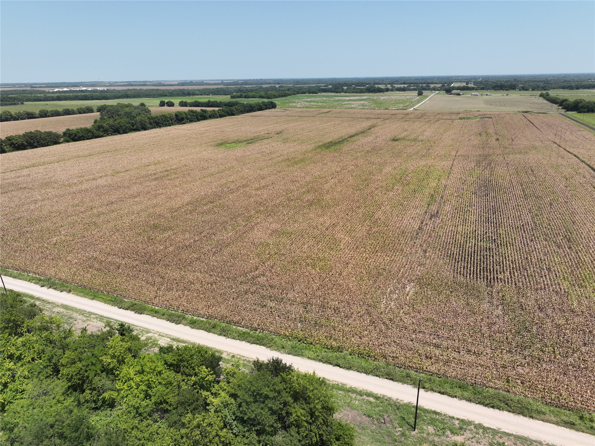 61 Acres FM 137